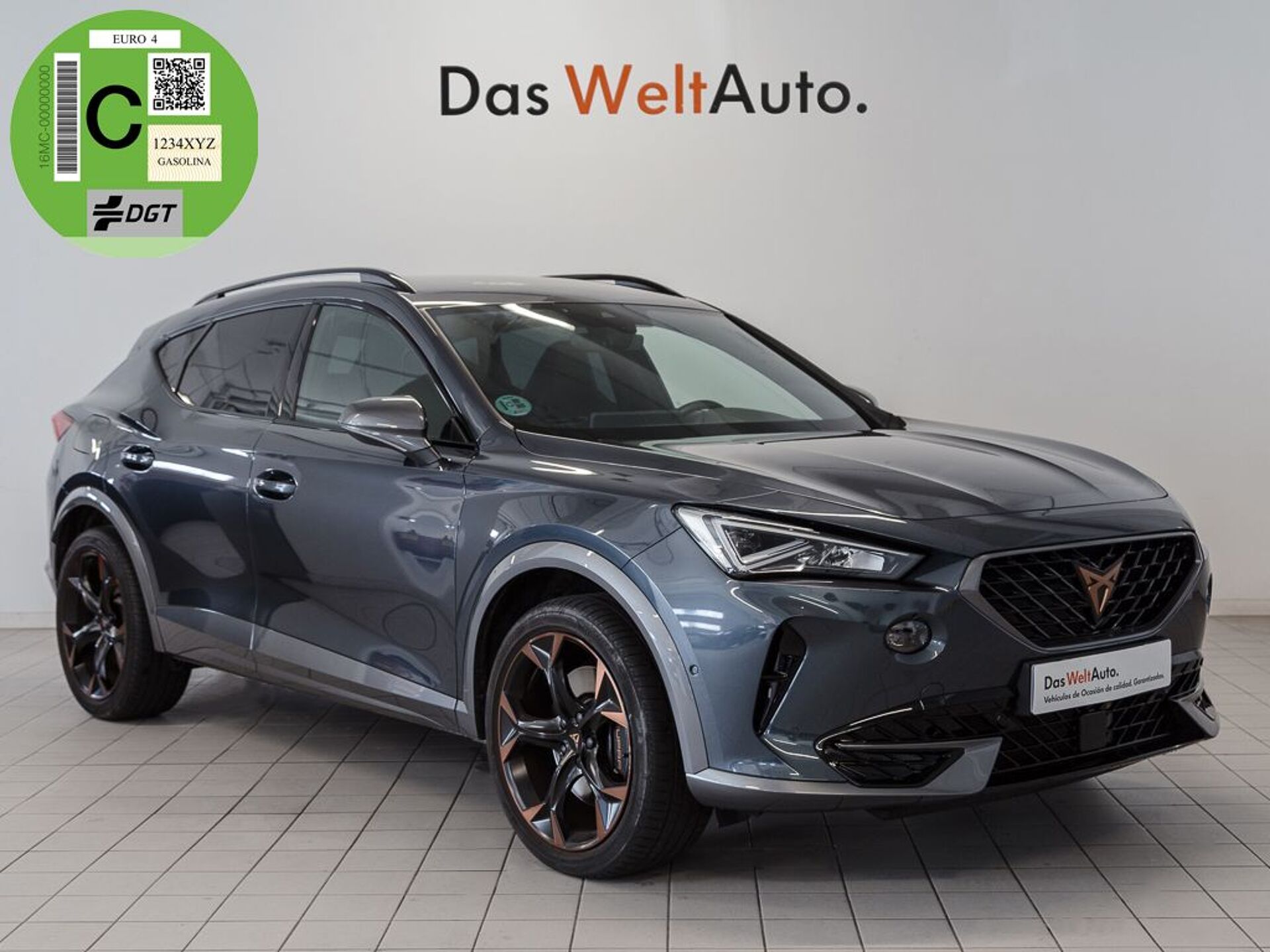 Imagen de CUPRA Formentor