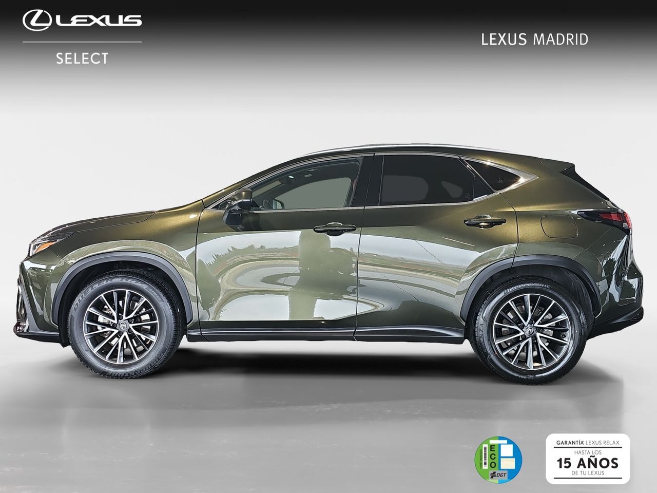 Foto del LEXUS NX 350h Executive 2WD