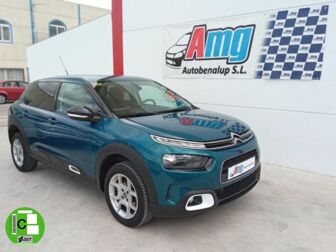 Imagen de CITROEN C4 Cactus 1.6BlueHDi S&S Feel 100