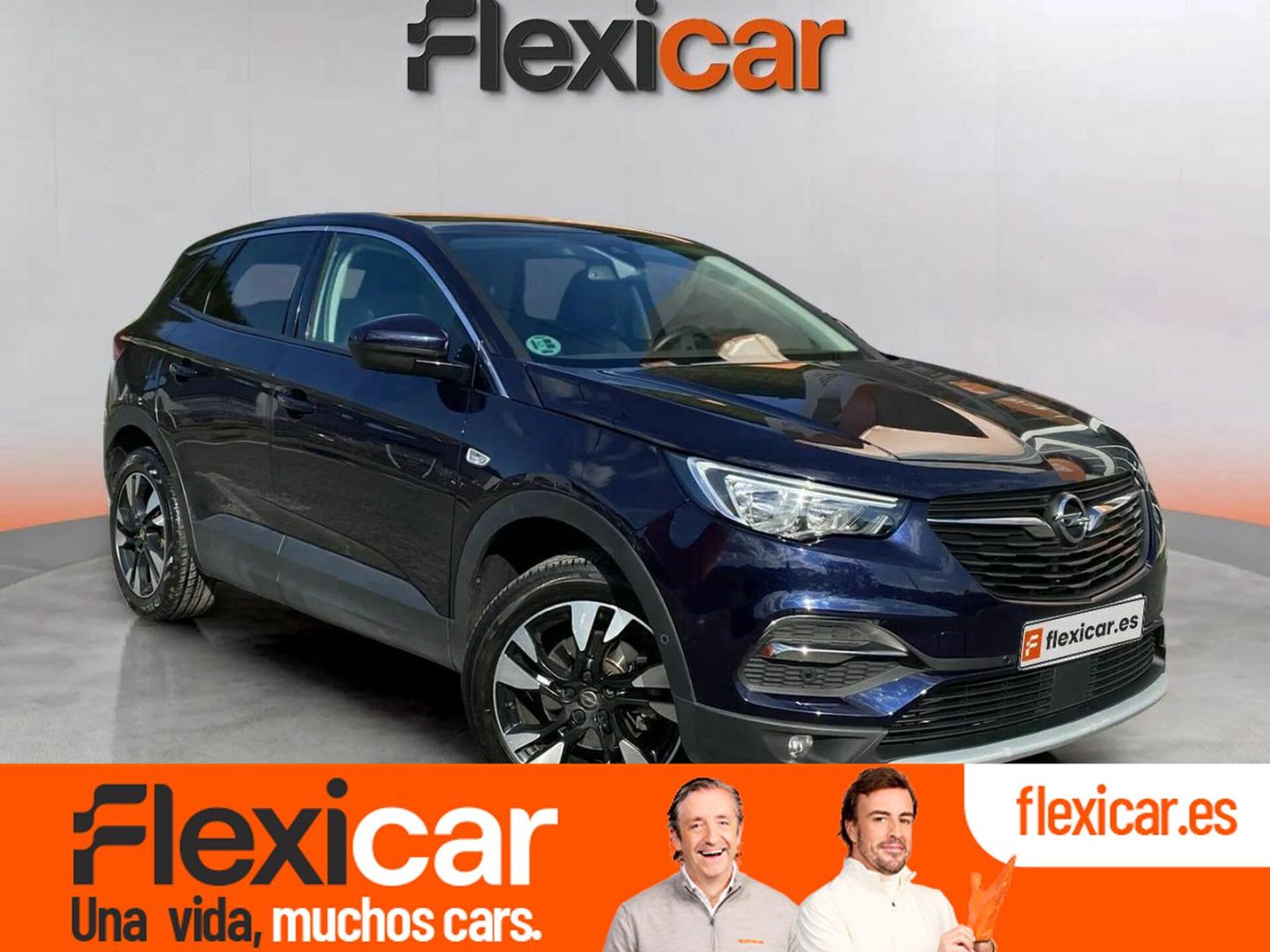 Imagen de OPEL Grandland X