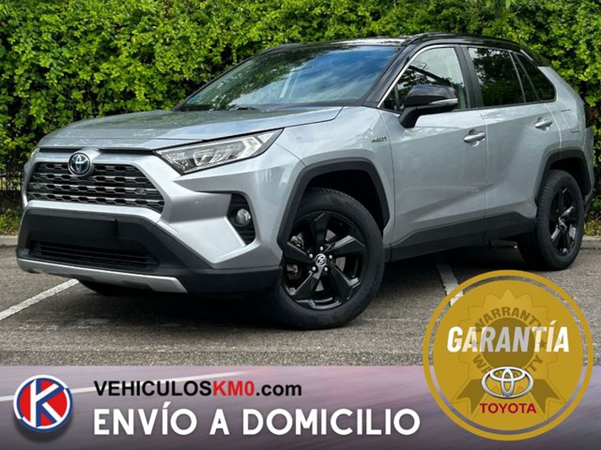 Imagen de TOYOTA RAV-4
