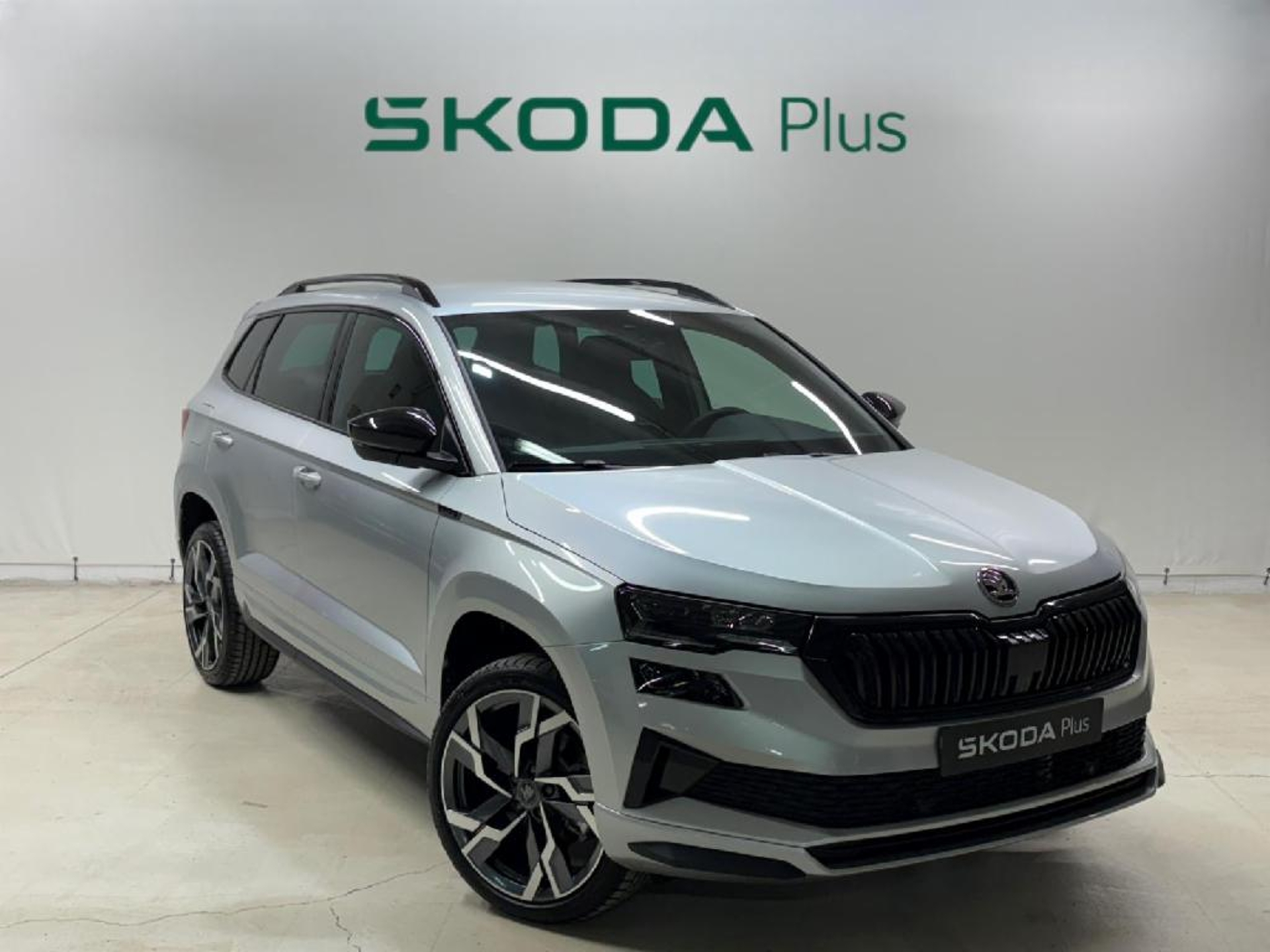 Imagen de SKODA Karoq