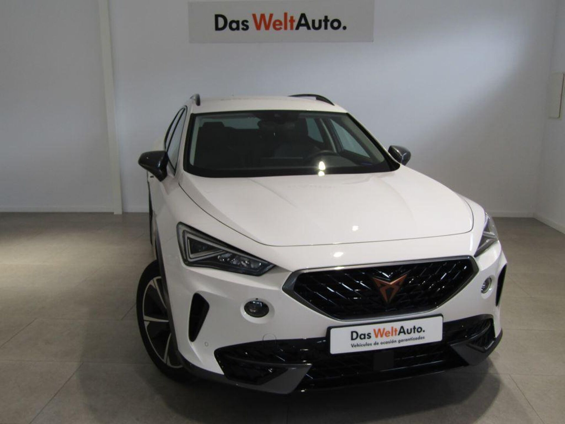 Imagen de CUPRA Formentor