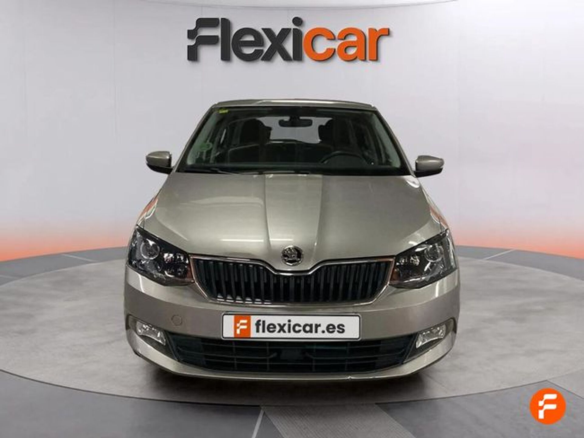 Imagen 3 de SKODA Fabia