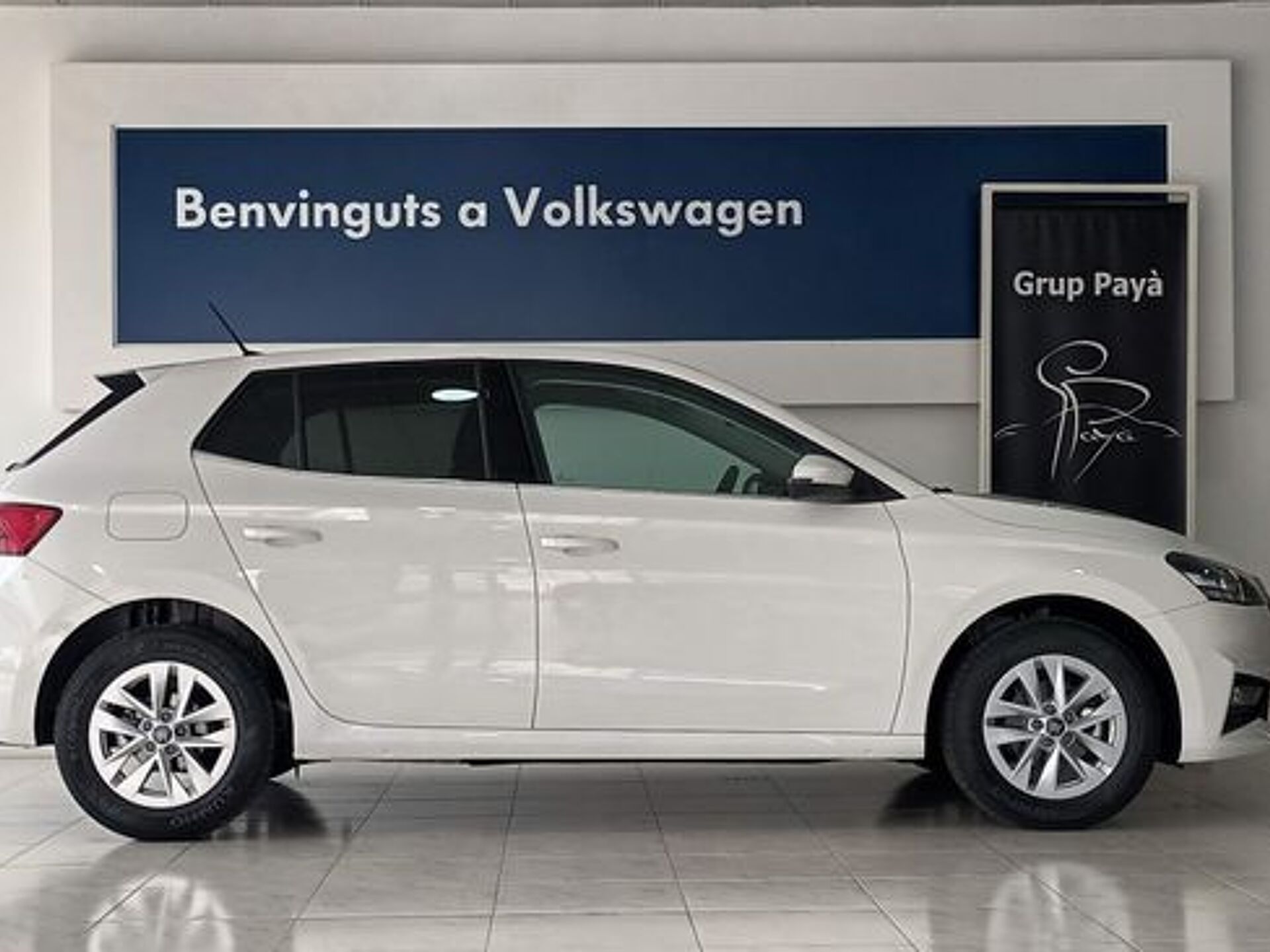 Imagen 3 de SKODA Fabia