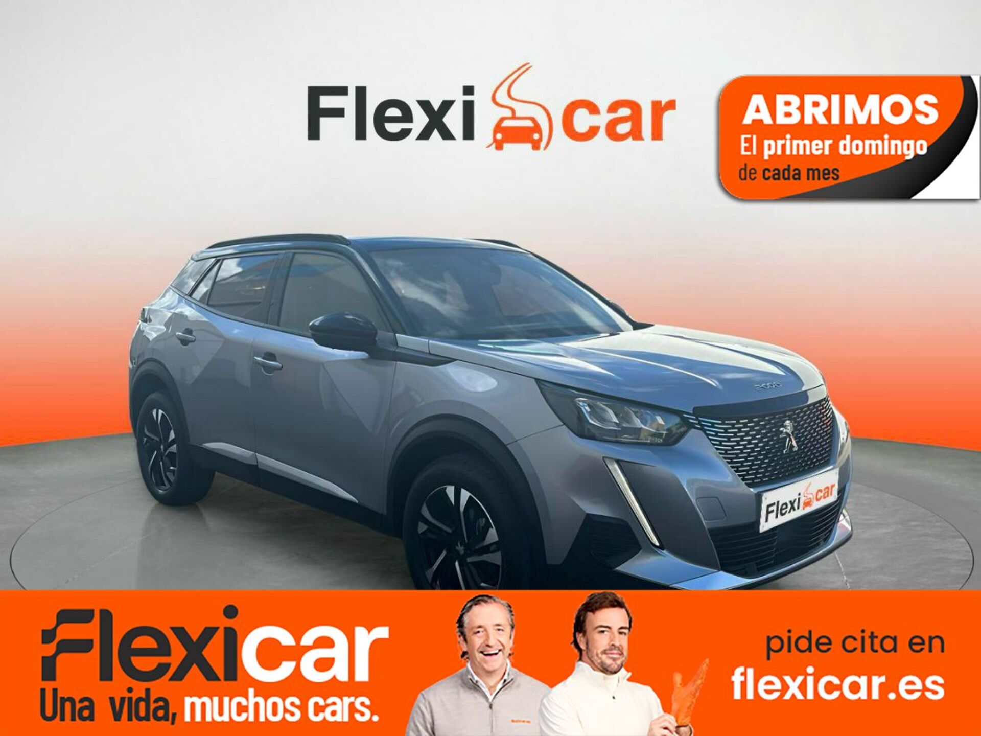Imagen de PEUGEOT 2008