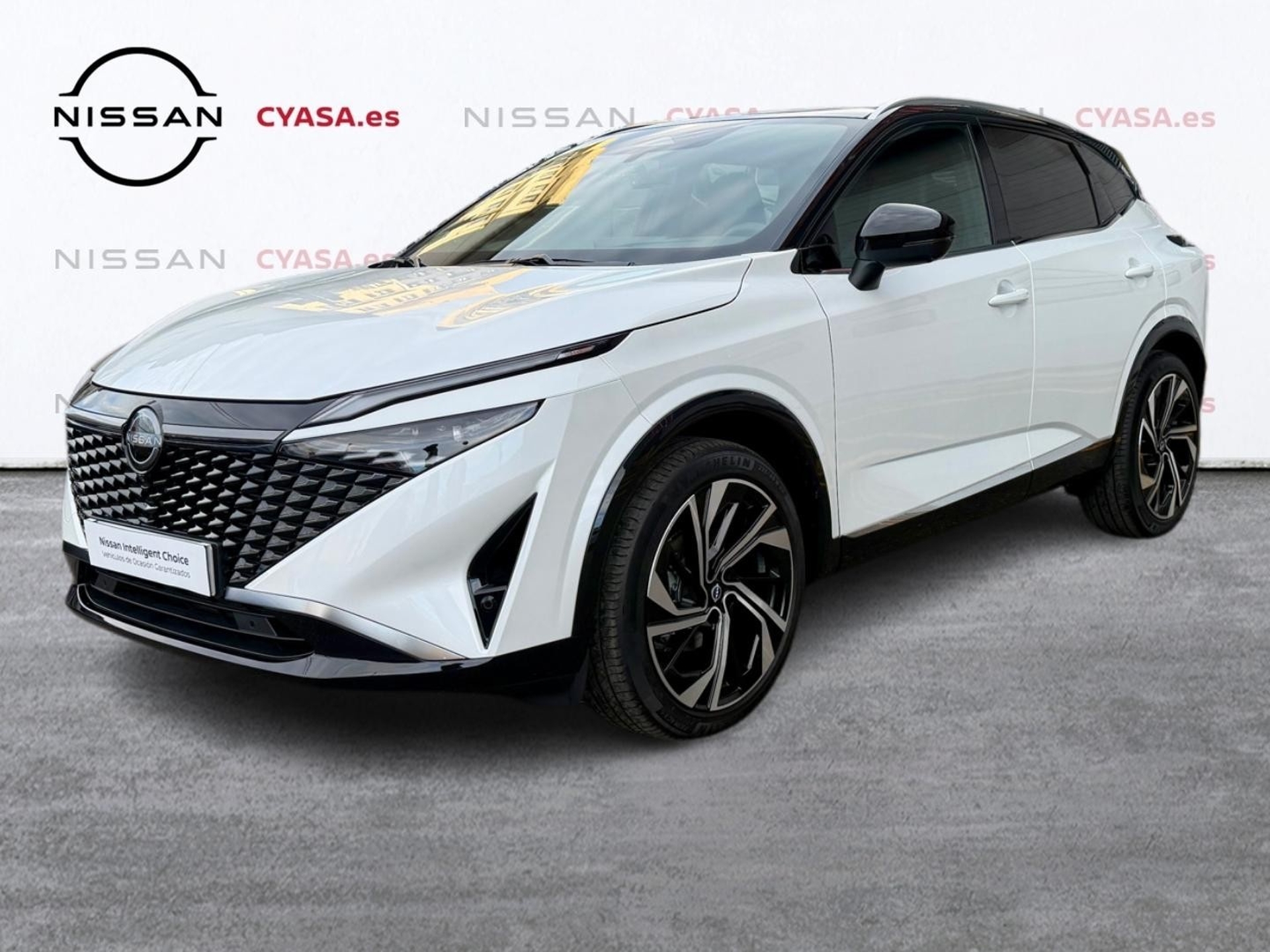 Imagen de NISSAN Qashqai