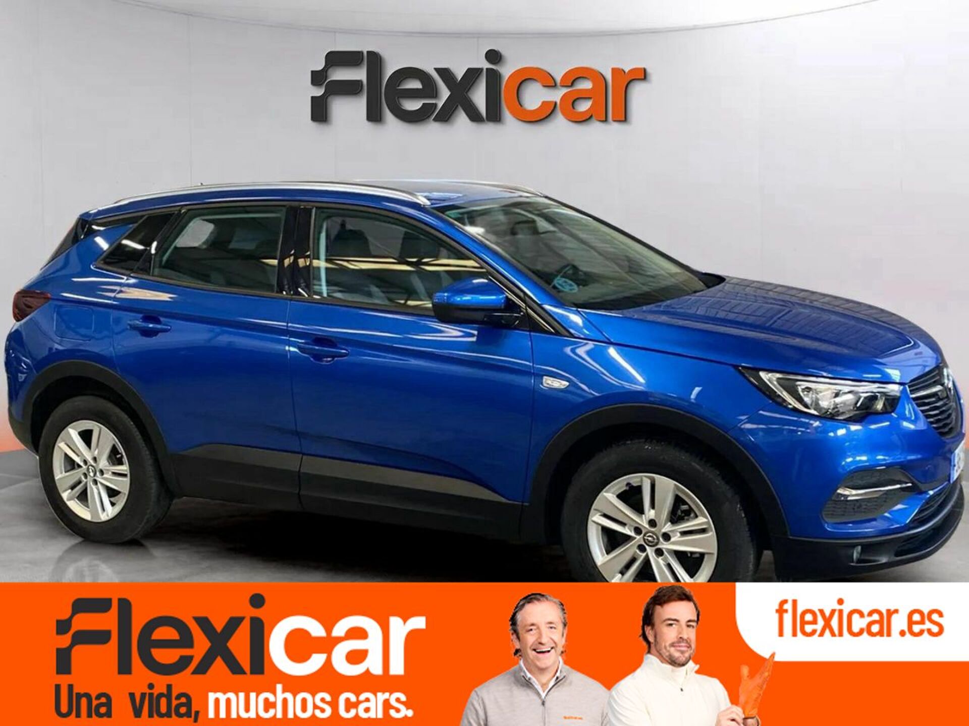 Imagen de OPEL Grandland X