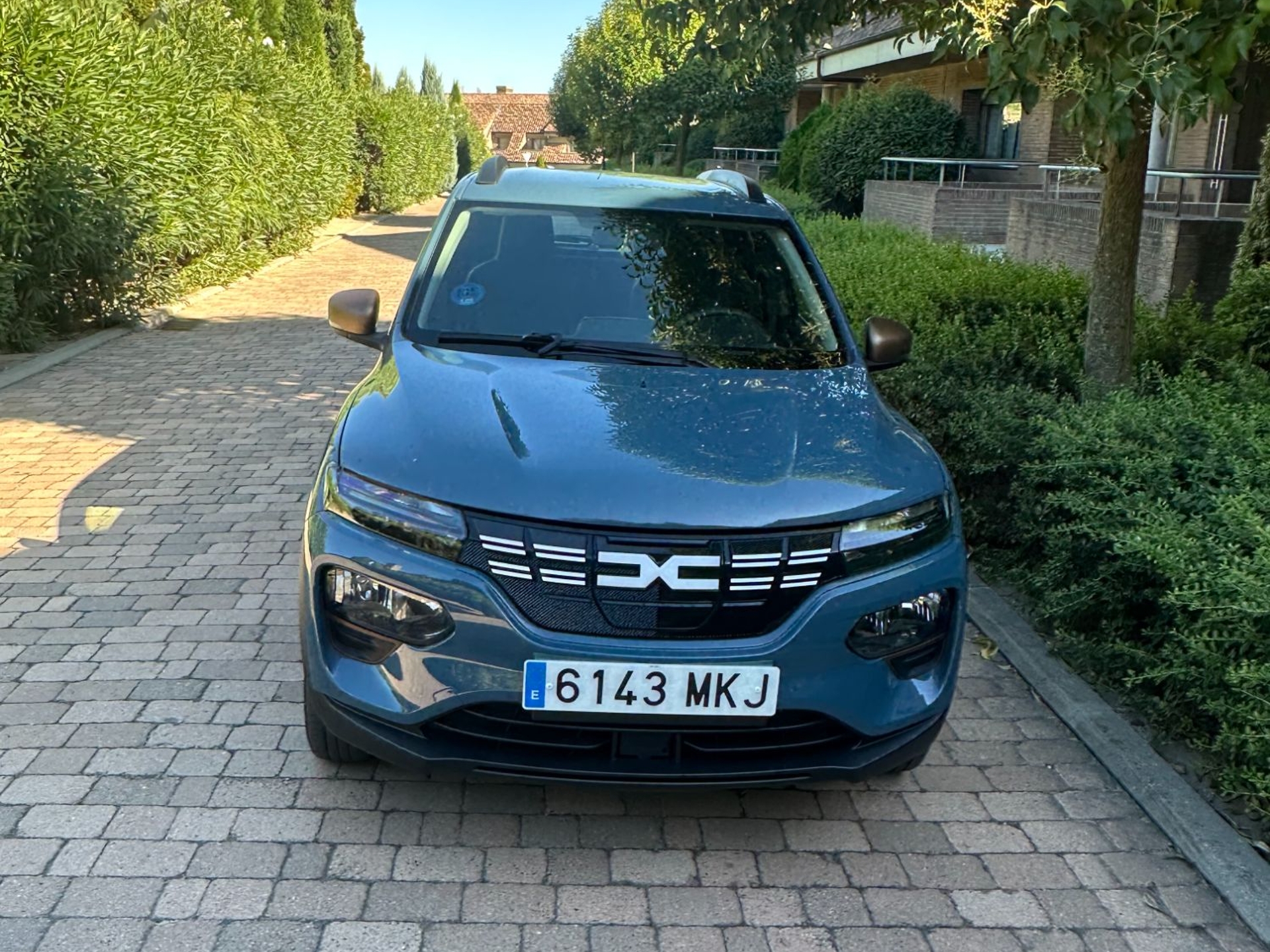 Imagen de DACIA Spring