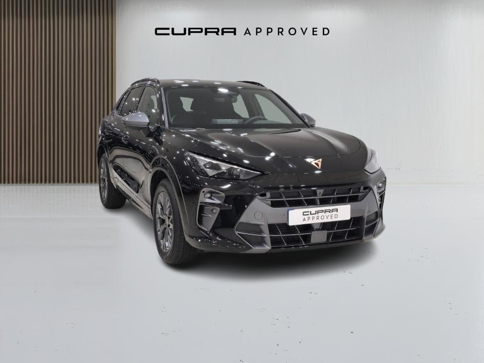Imagen de CUPRA Terramar