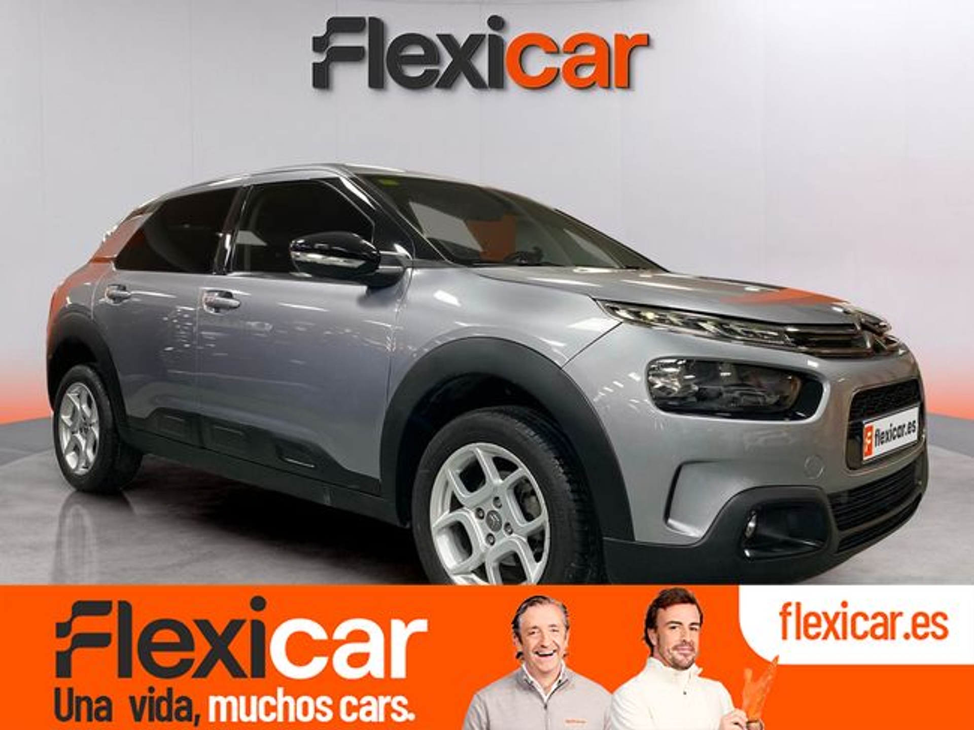 Imagen de CITROEN C4 Cactus