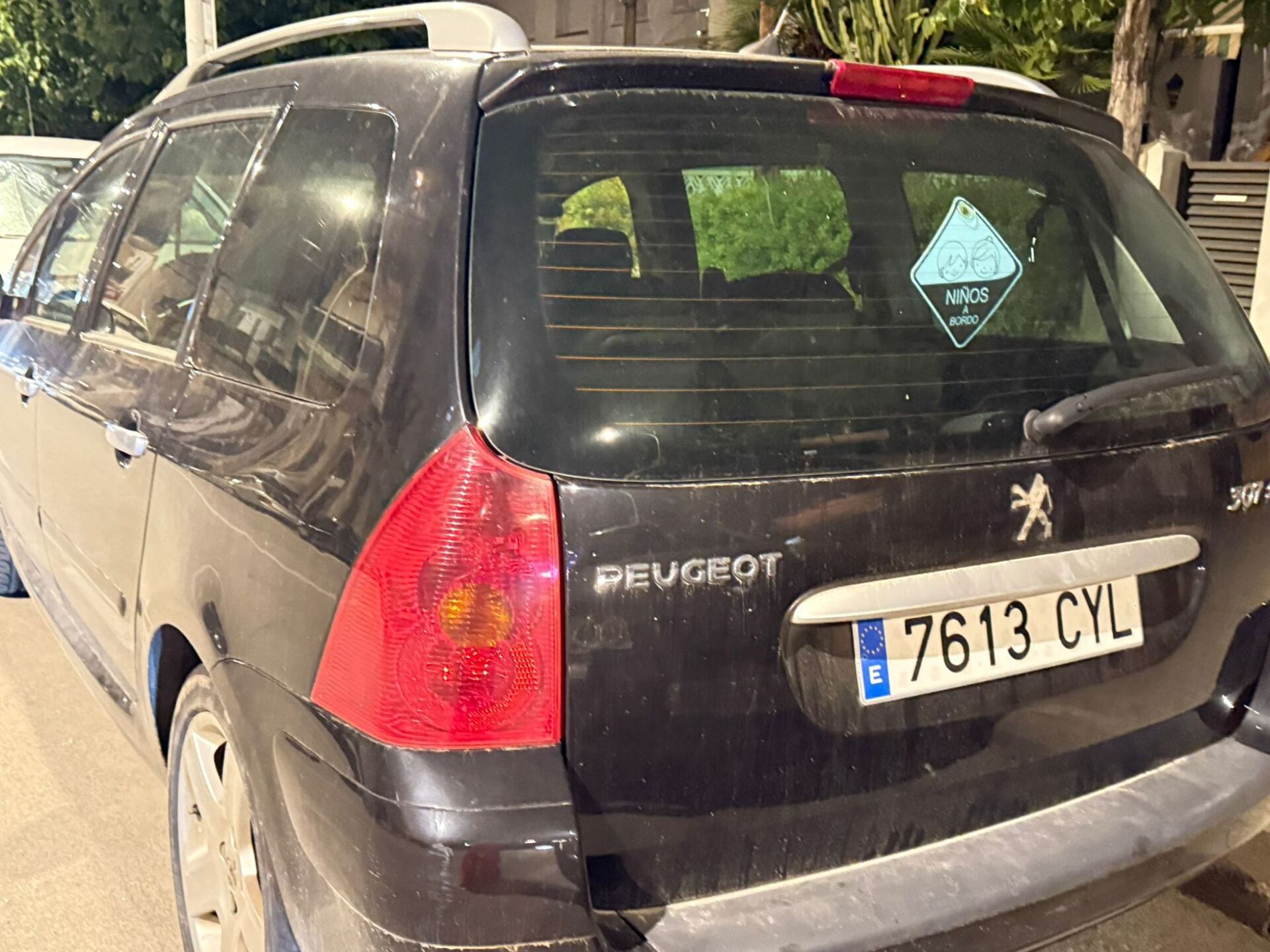 Imagen 3 de PEUGEOT 307