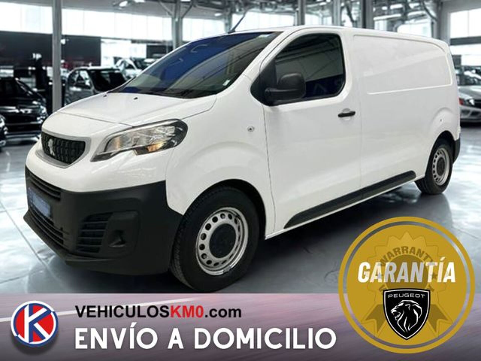 Imagen de PEUGEOT Expert