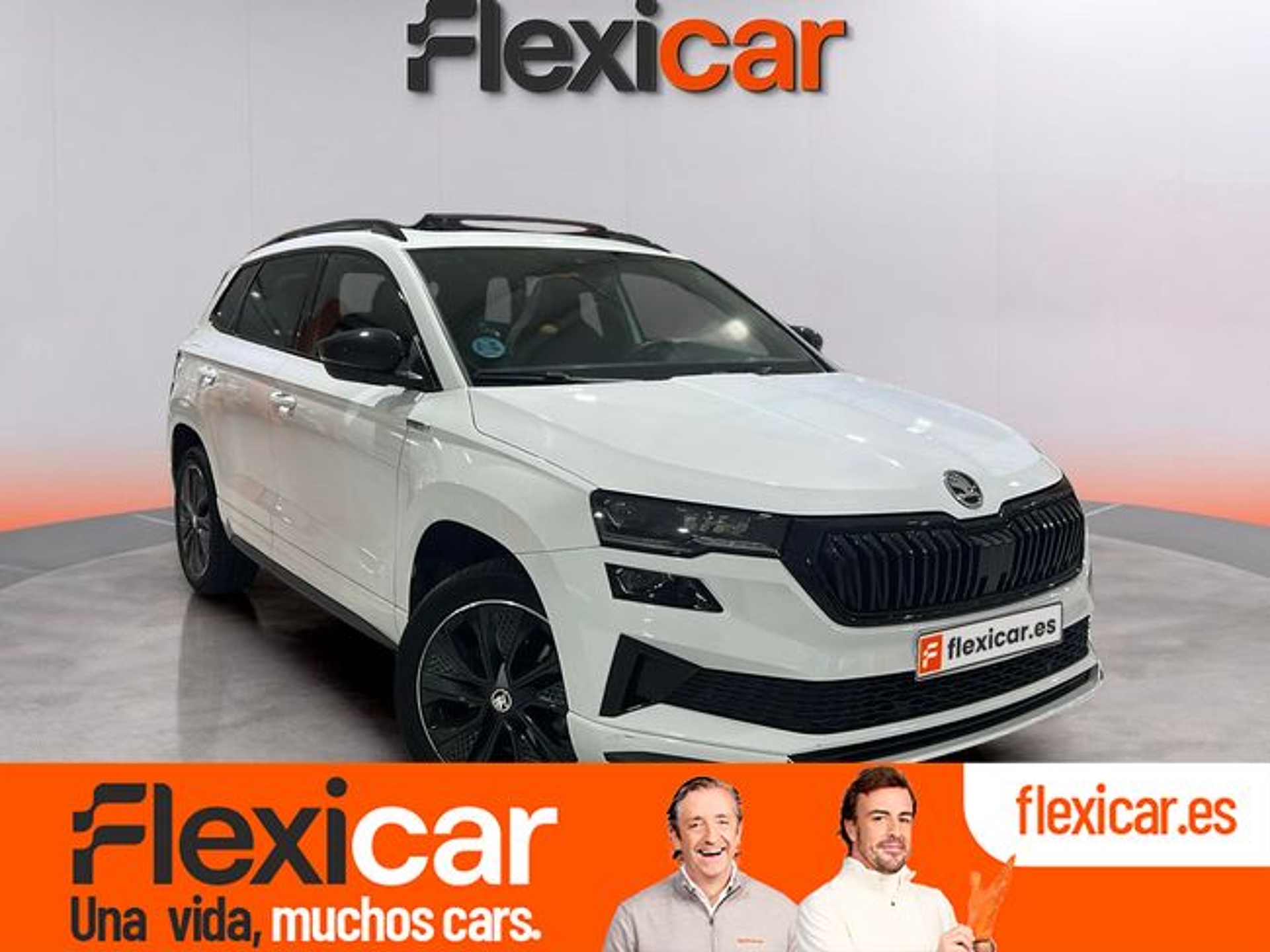Imagen de SKODA Karoq