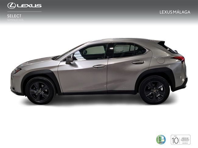 Foto del LEXUS UX 250h Business 4WD