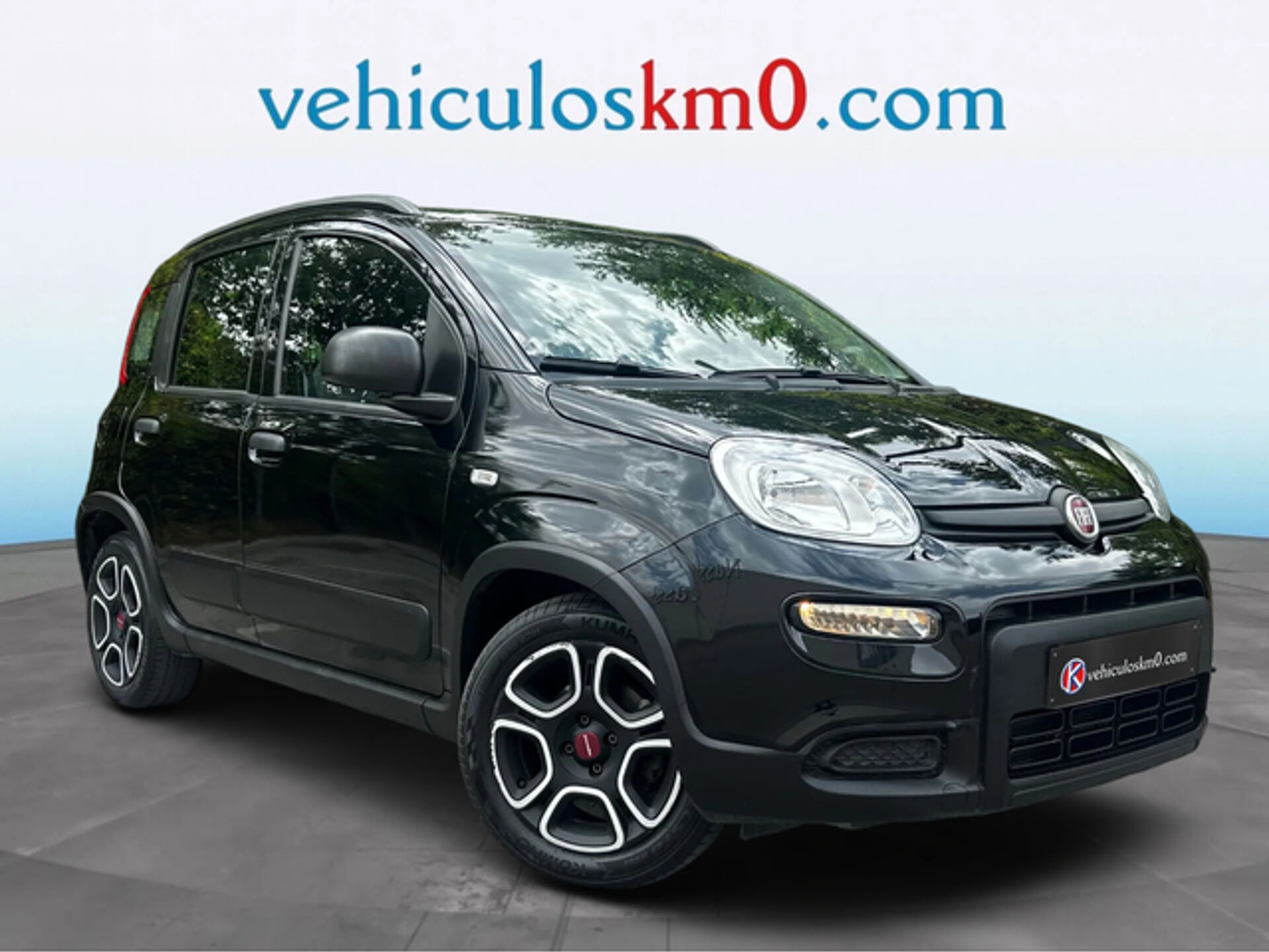 Imagen 1 de FIAT Panda