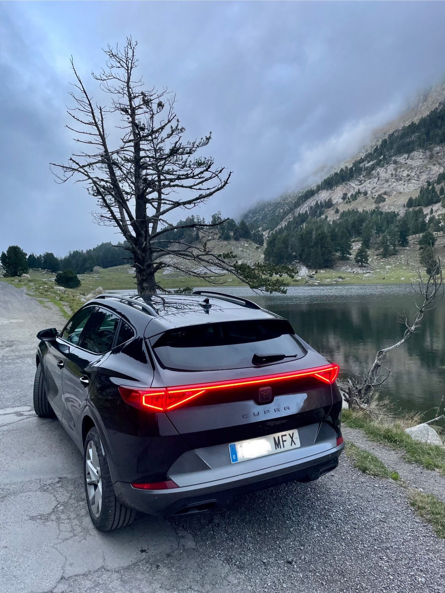 Foto del CUPRA Formentor 2.0 TDI 150