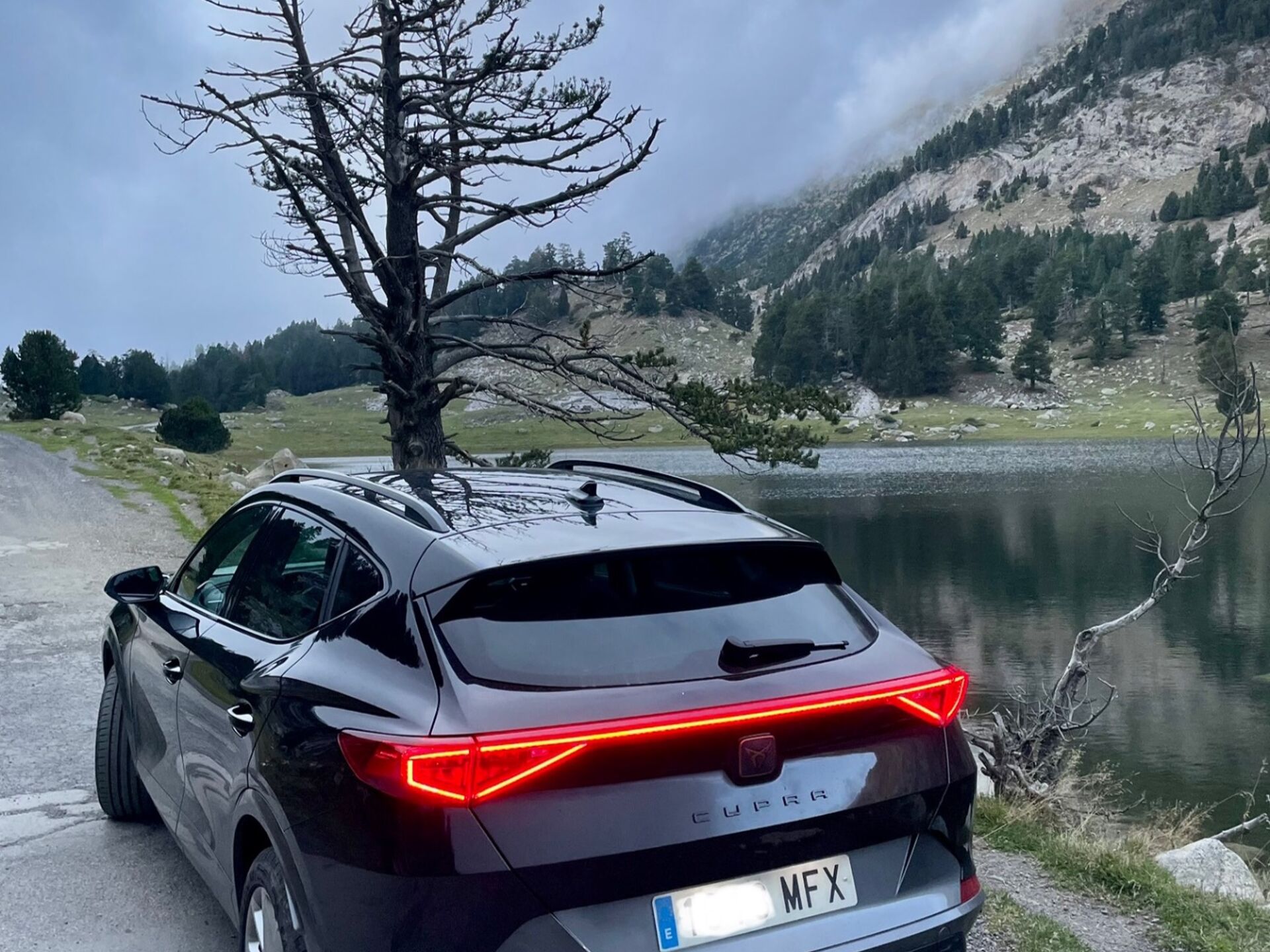 Imagen 3 de CUPRA Formentor