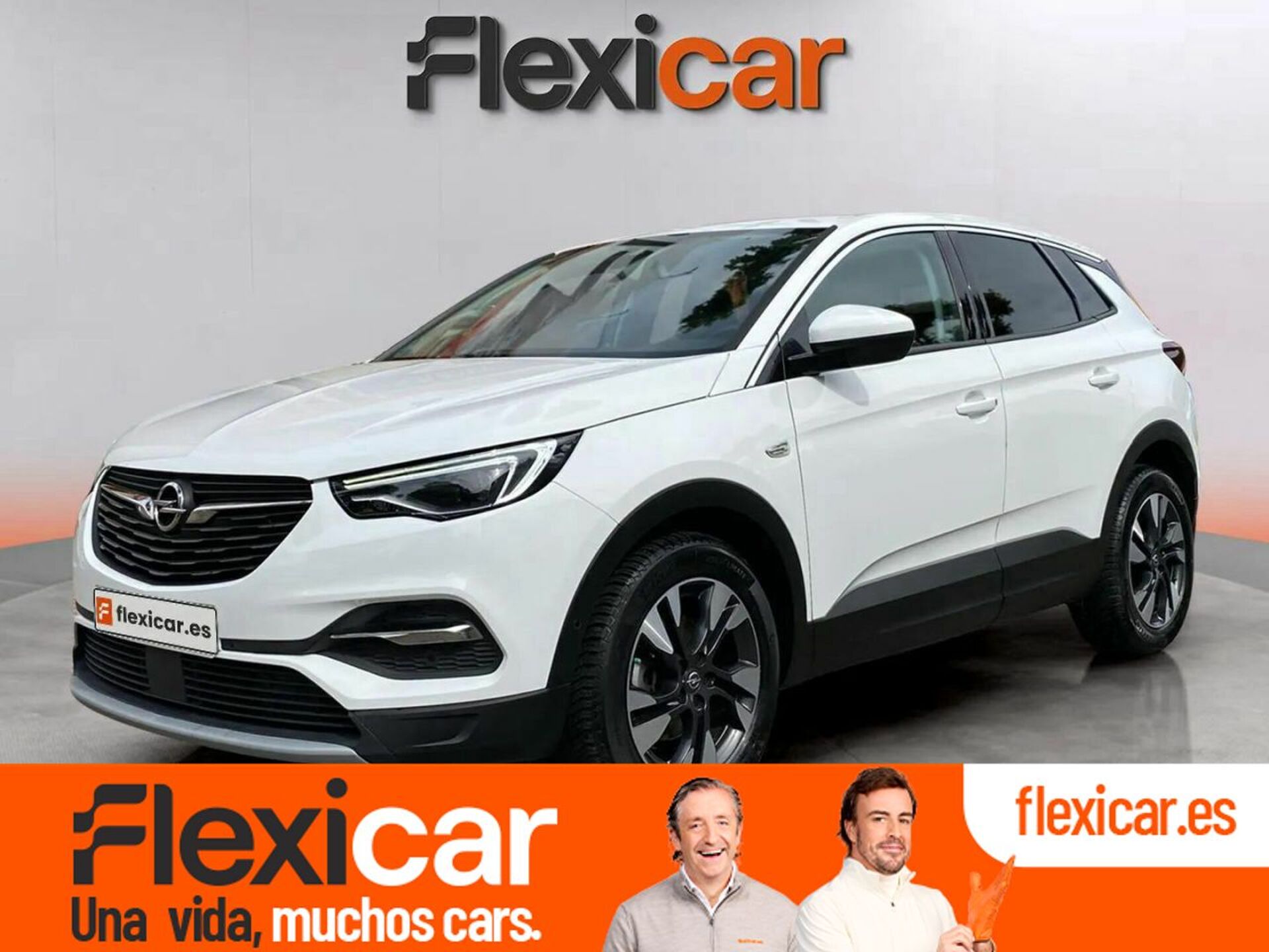Imagen de OPEL Grandland X
