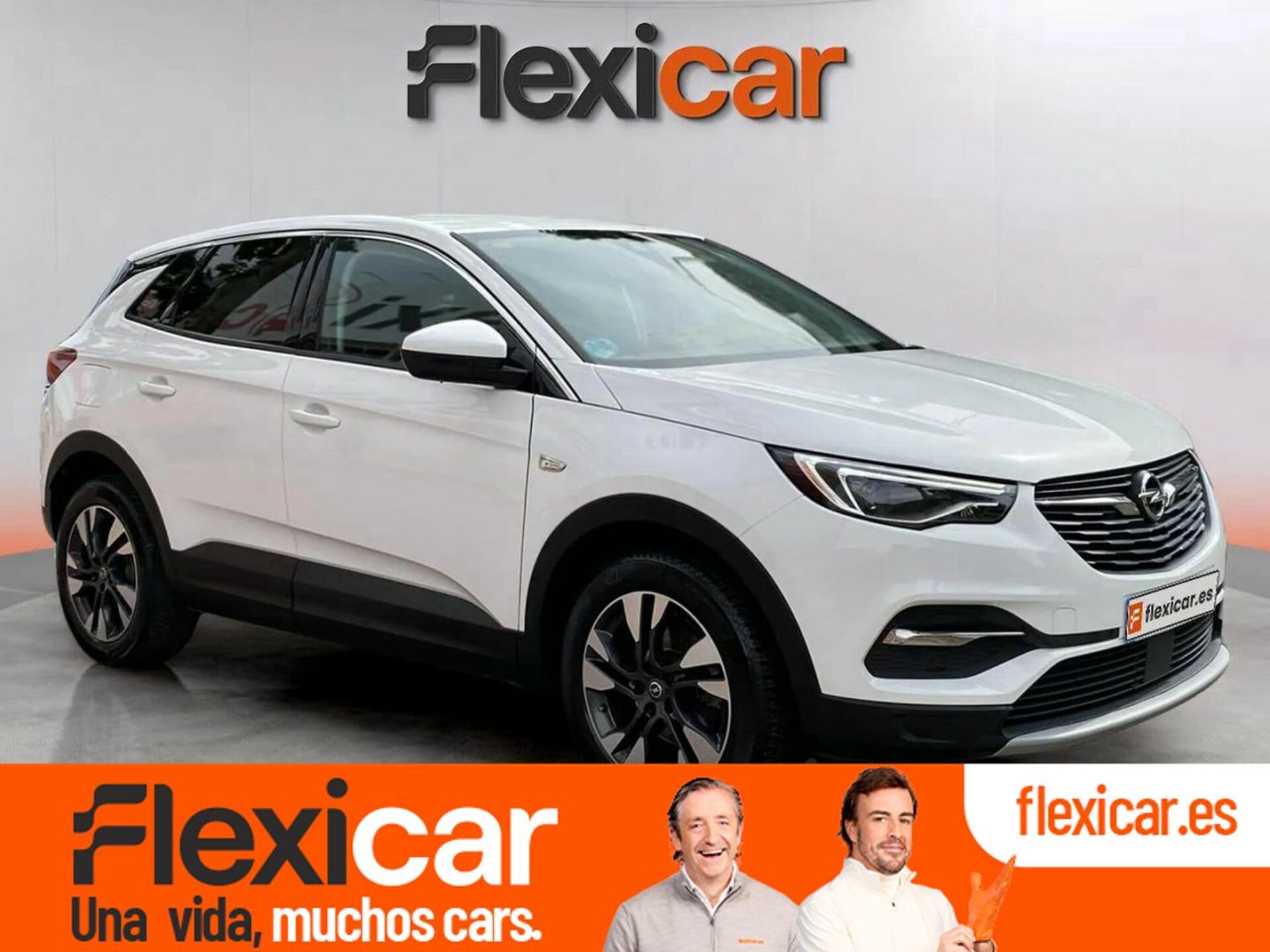 Imagen de OPEL Grandland X