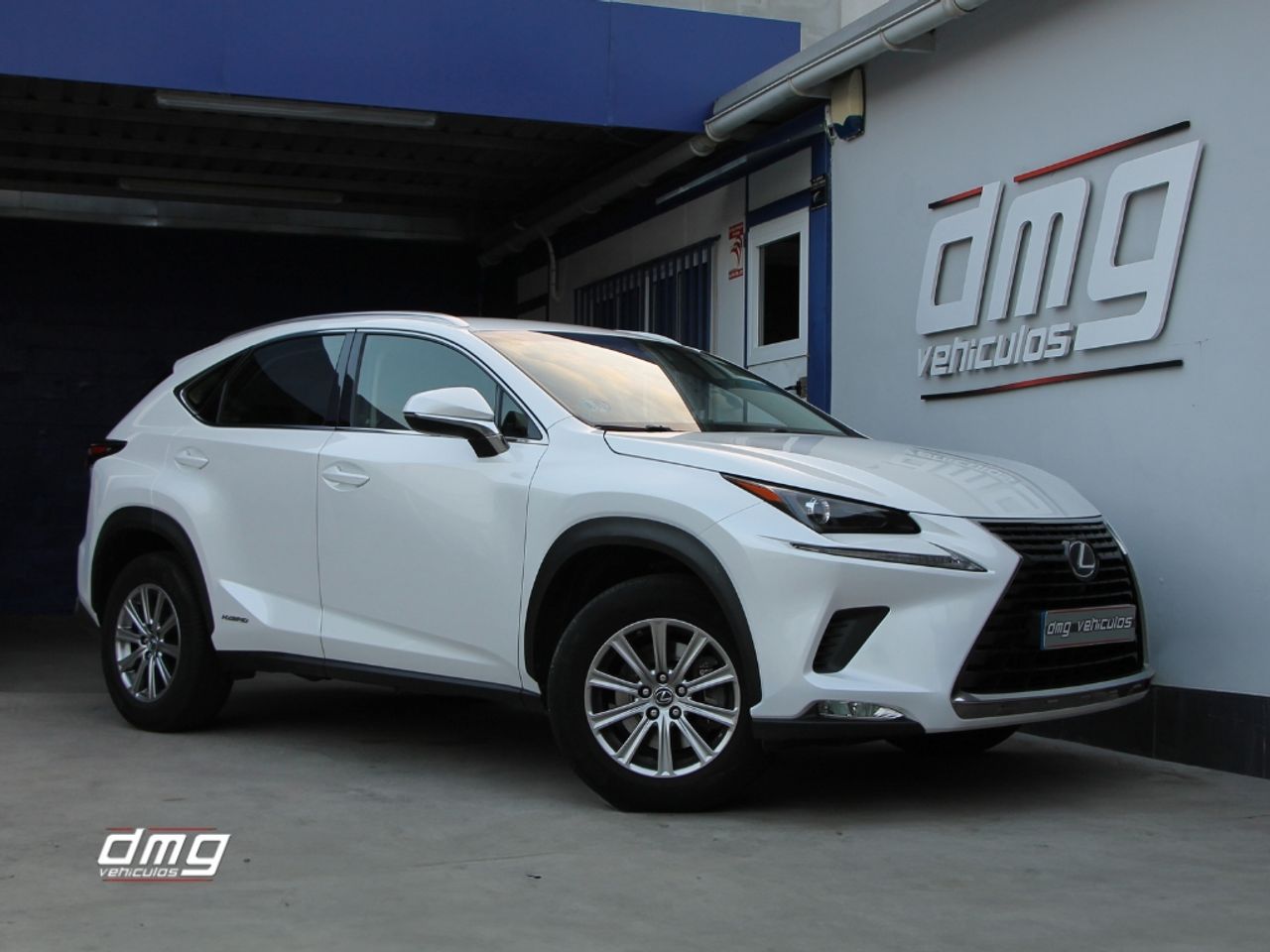 LEXUS NX (2.5 300h Business Navigation 2WD 5p.) en Barcelona