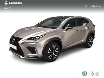 Imagen de LEXUS NX 300h F Sport Panorámico 4WD