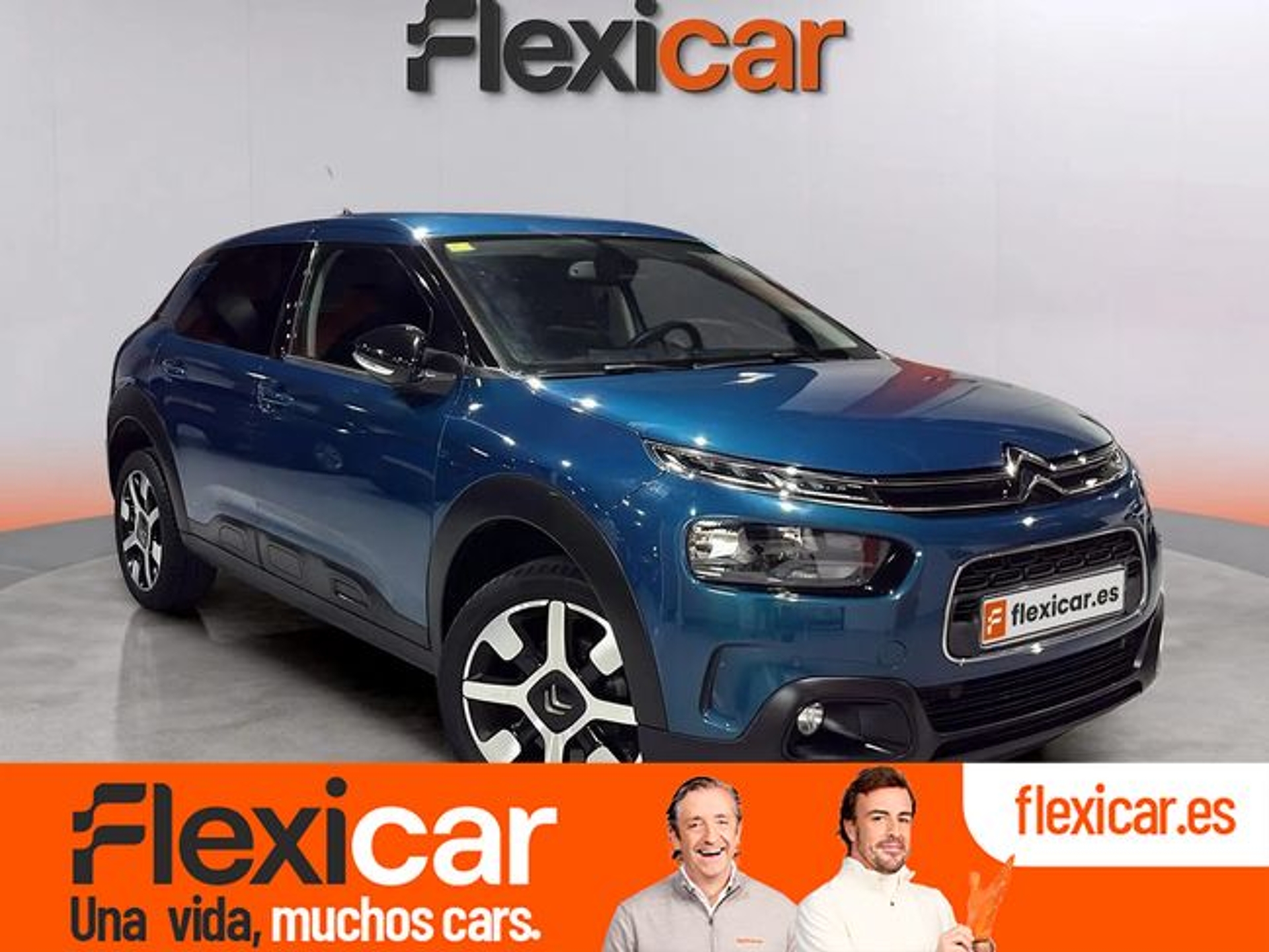 Imagen de CITROEN C4 Cactus