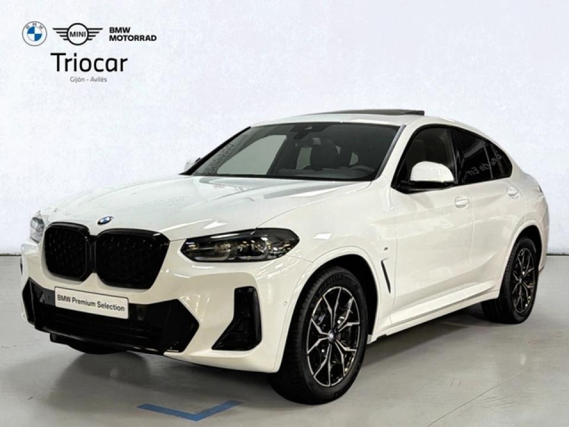 Imagen de BMW X4