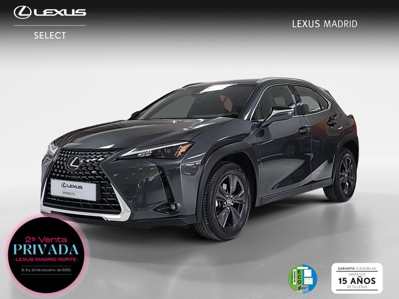 LEXUS UX (2.0 300h Plus) en Madrid