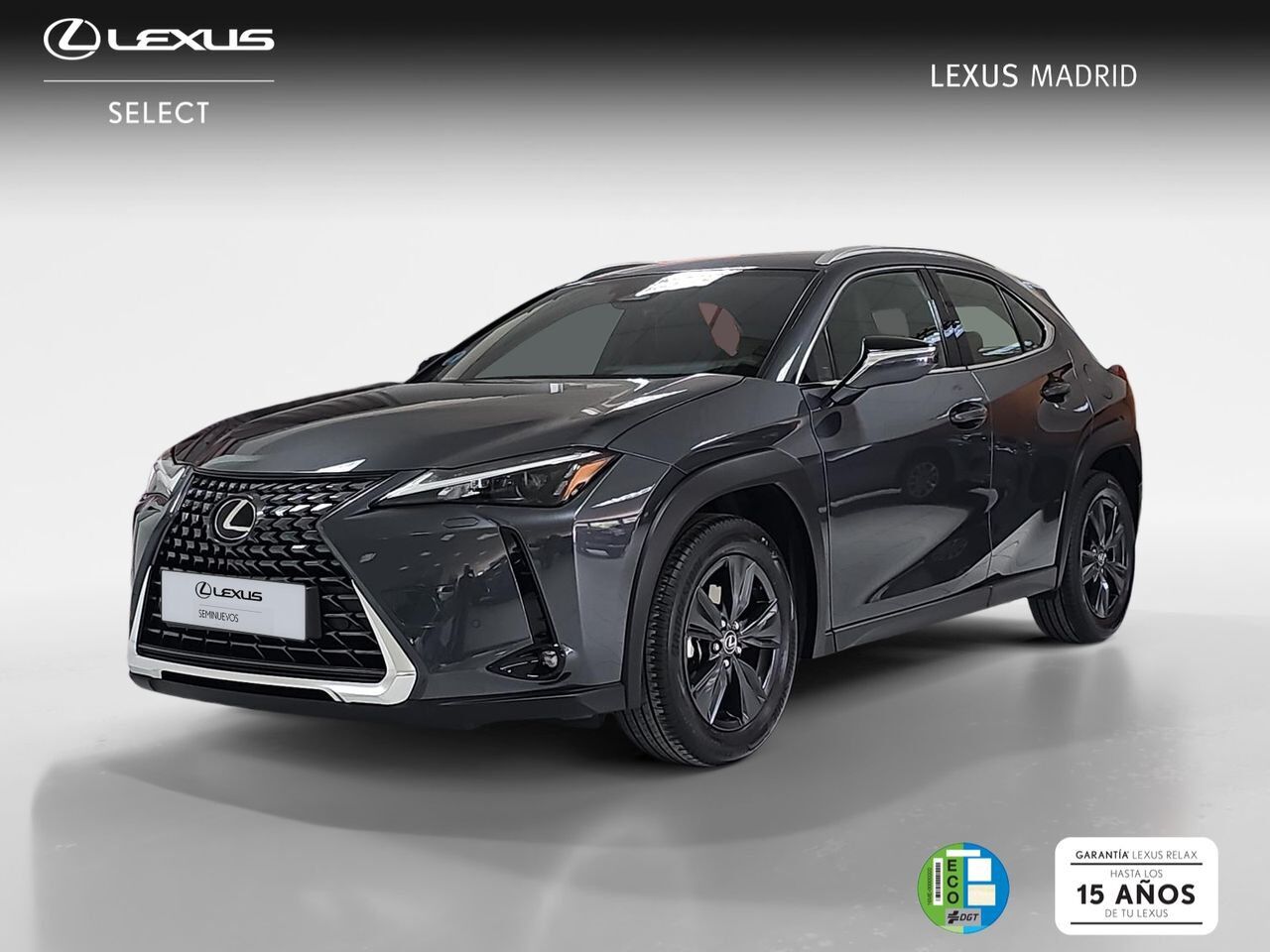 LEXUS UX (2.0 300h Plus) en Madrid
