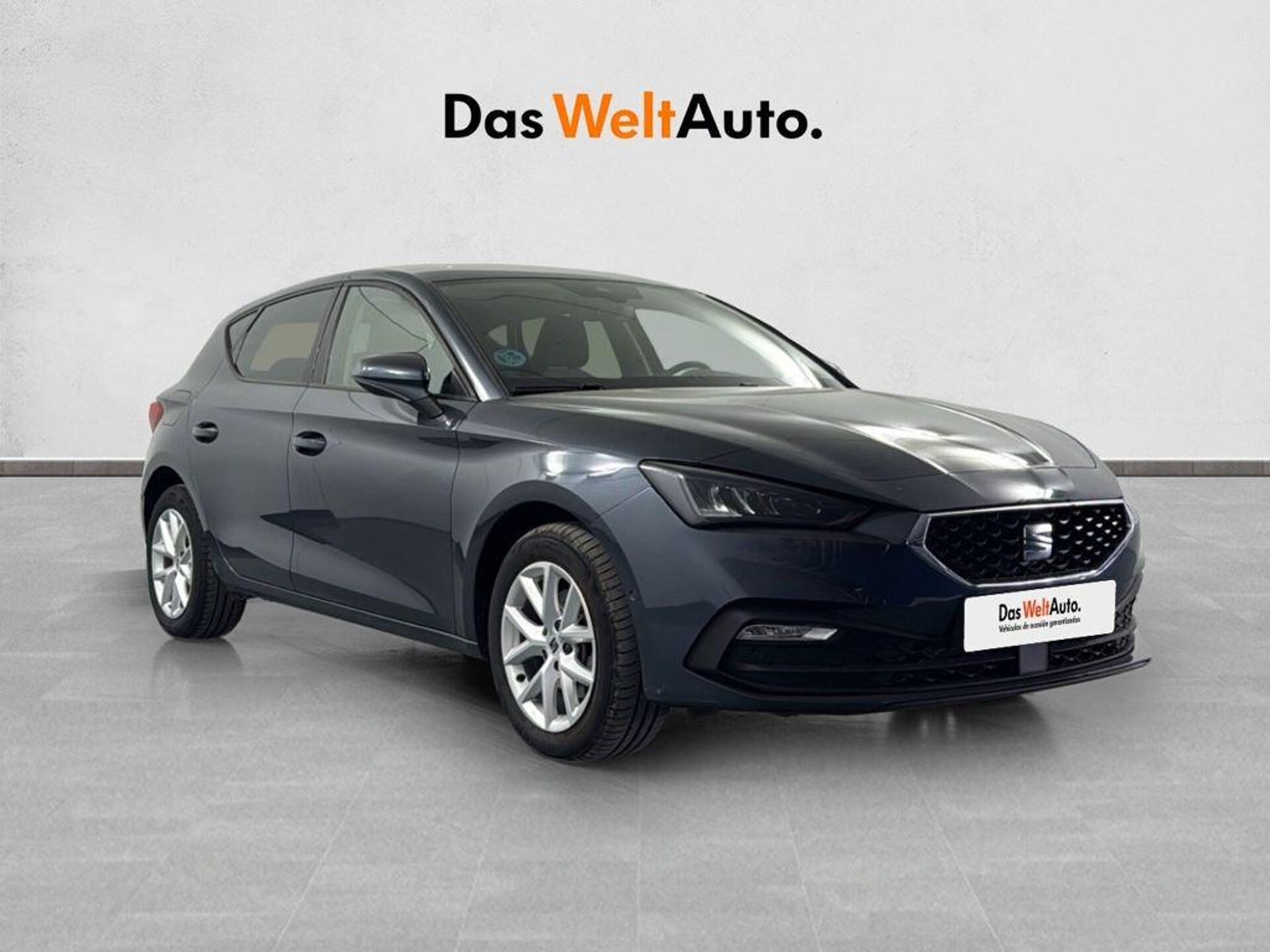 Imagen de SEAT León