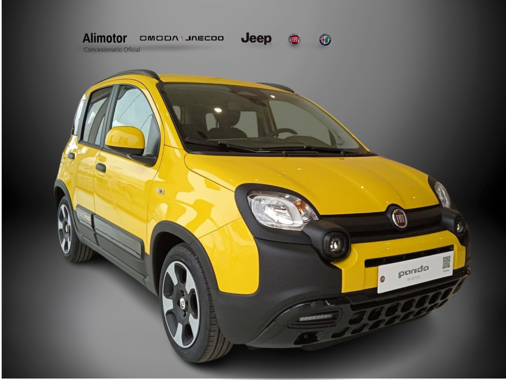 FIAT Panda (MY25 PANDINA 1.0 70CV) en Alicante