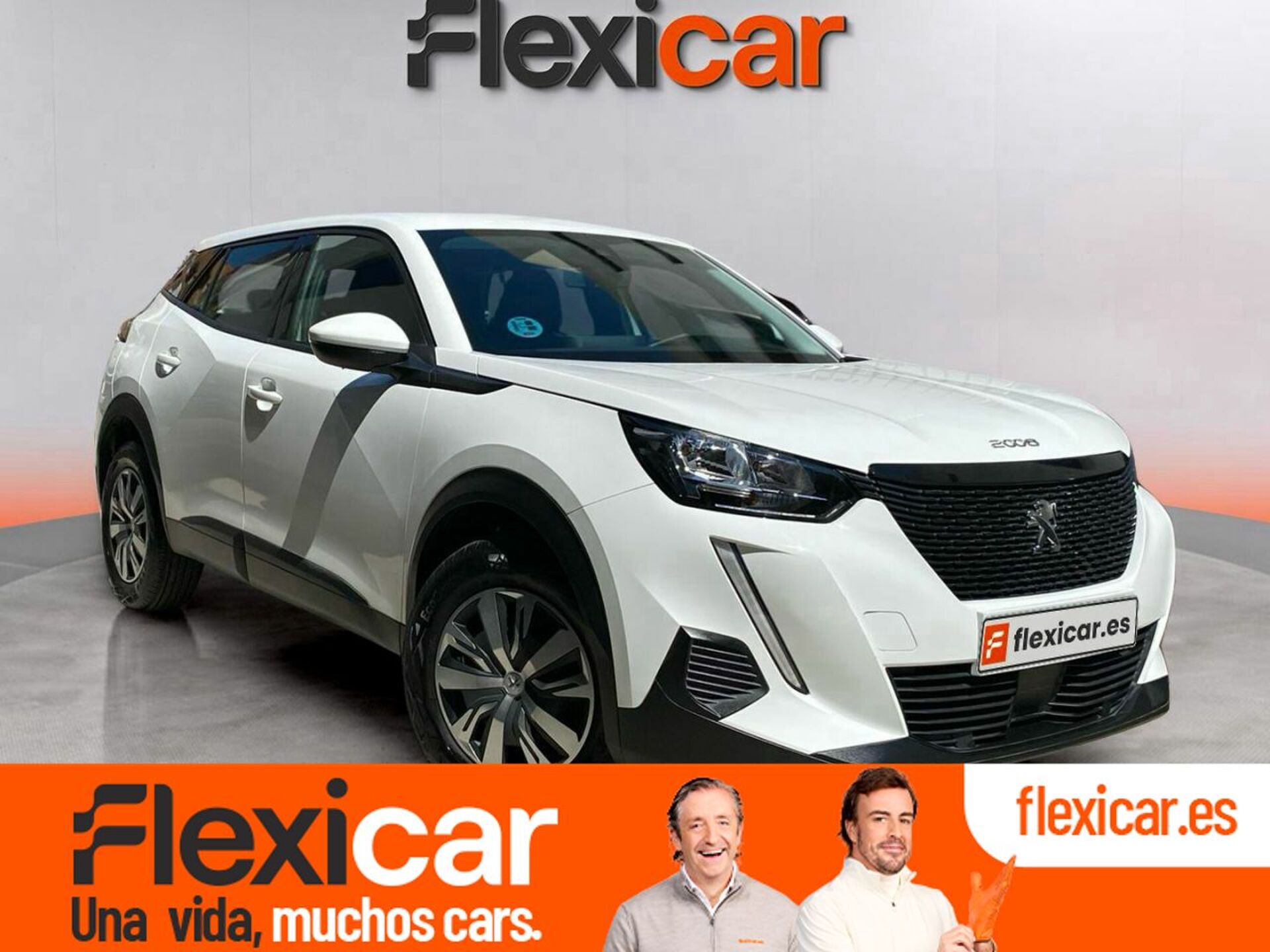 Imagen de PEUGEOT 2008