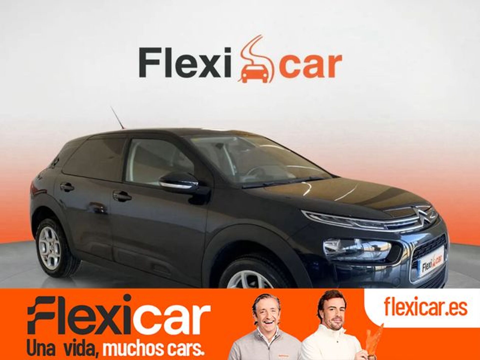 Imagen de CITROEN C4 Cactus