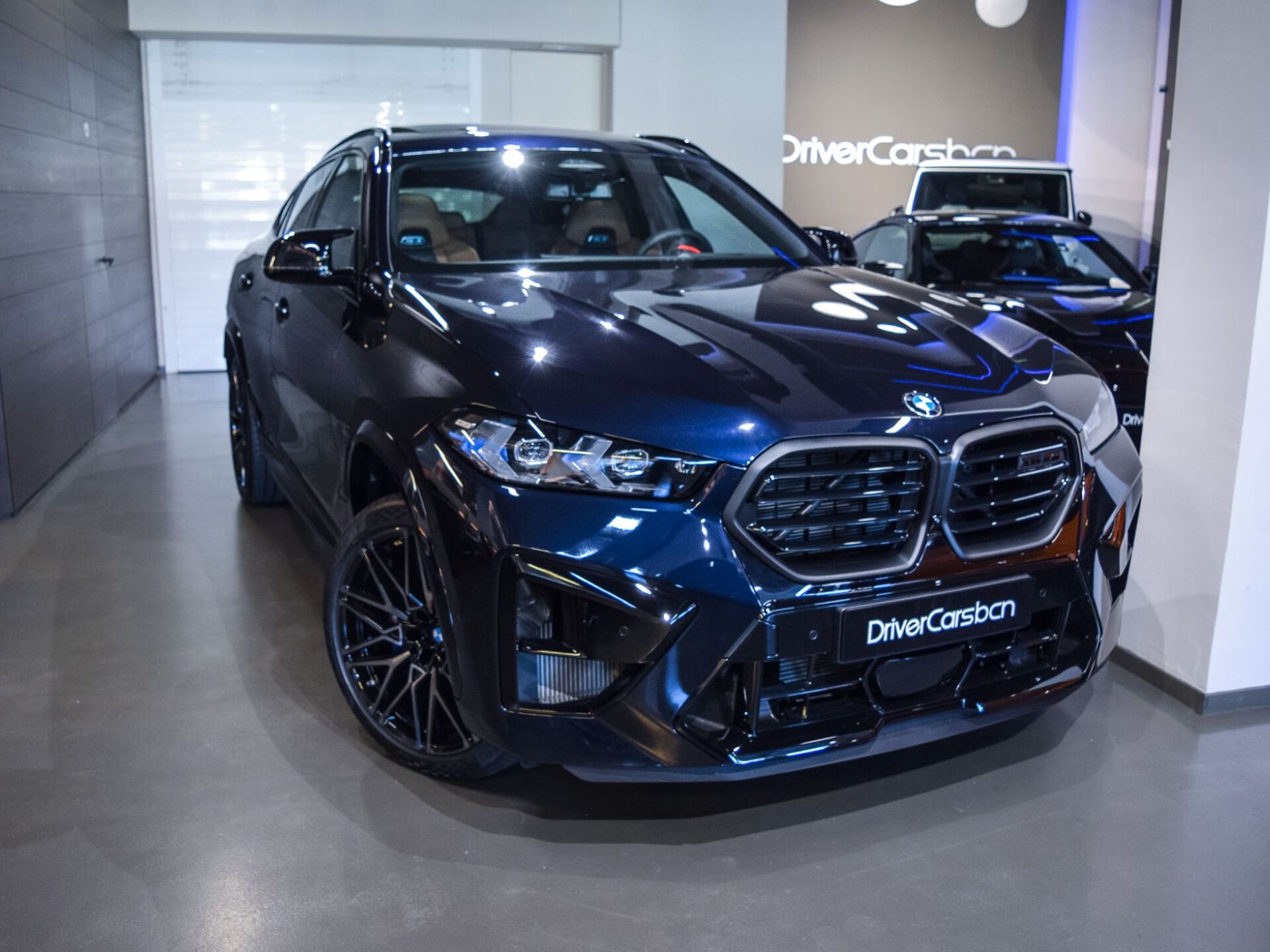 Imagen de BMW X6