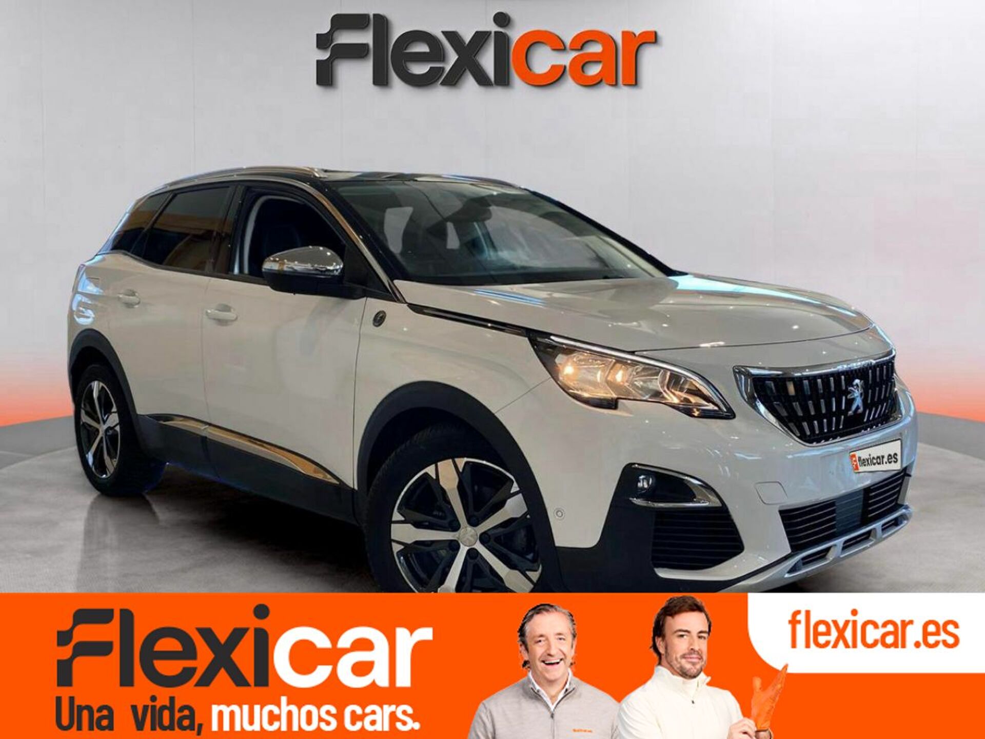 Imagen de PEUGEOT 3008