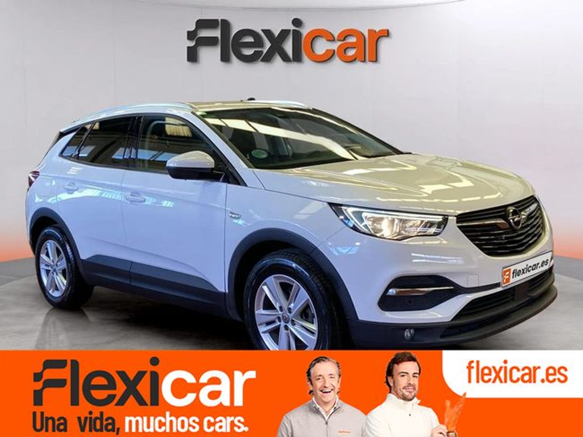 Imagen de OPEL Grandland X