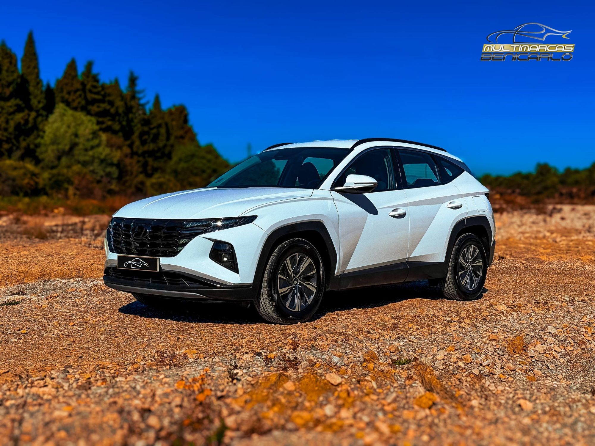 Foto del HYUNDAI Tucson 1.6 CRDI 48V Maxx 4x2 DT