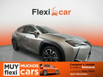 Imagen de LEXUS UX 250h Business Navigation 4WD