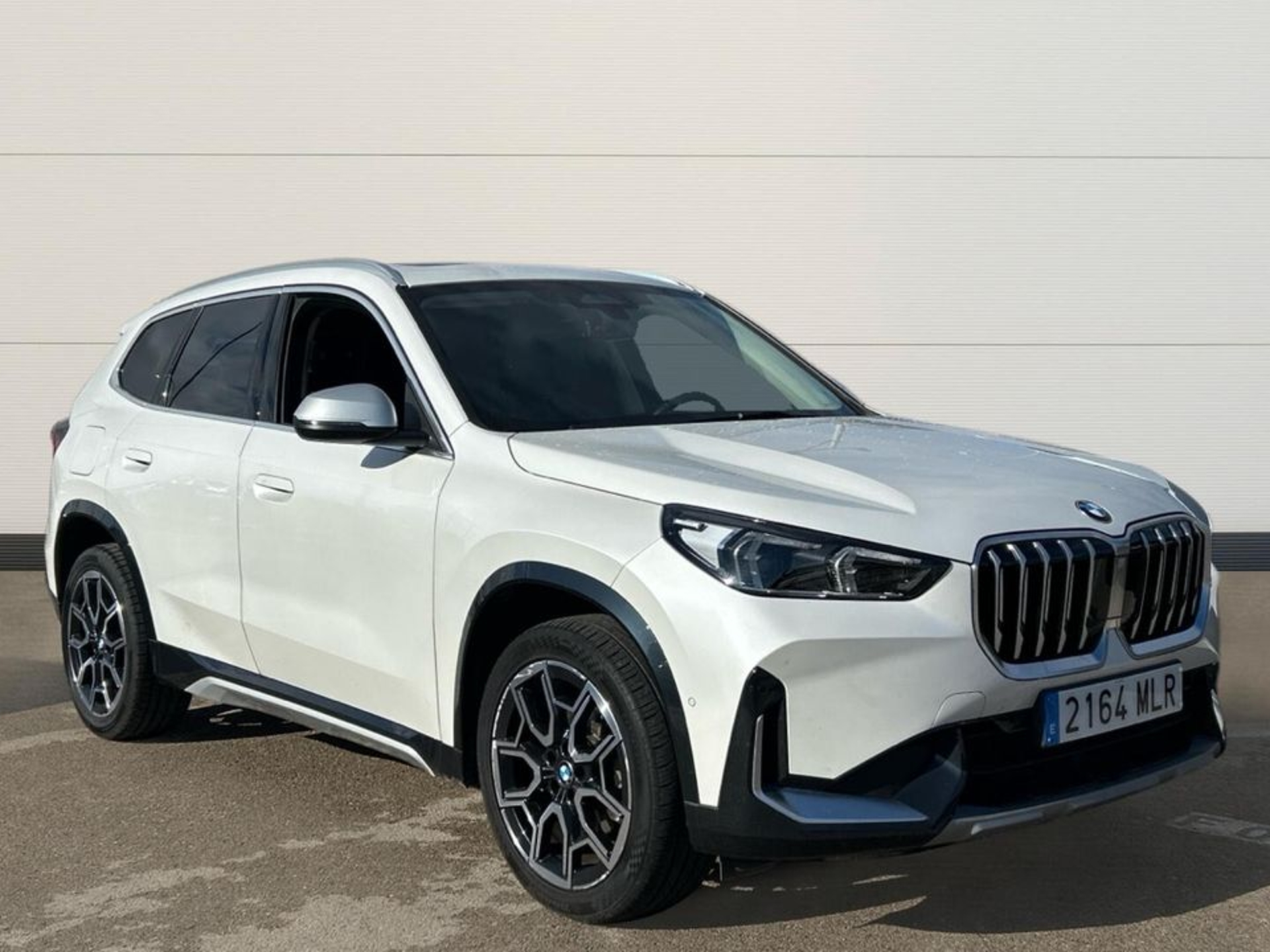 Imagen de BMW X1