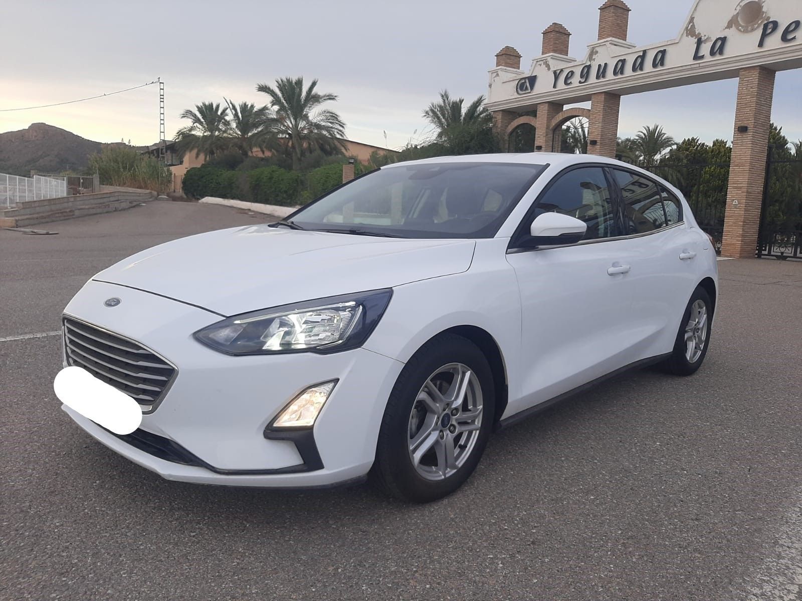 FORD Focus (1.5 Ecoblue Trend+ 120) en Murcia