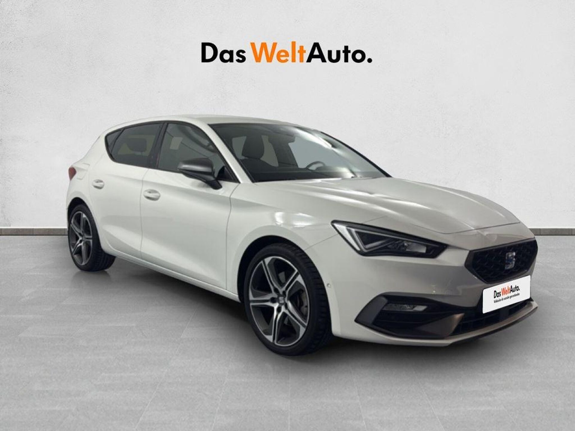 Imagen 1 de SEAT León