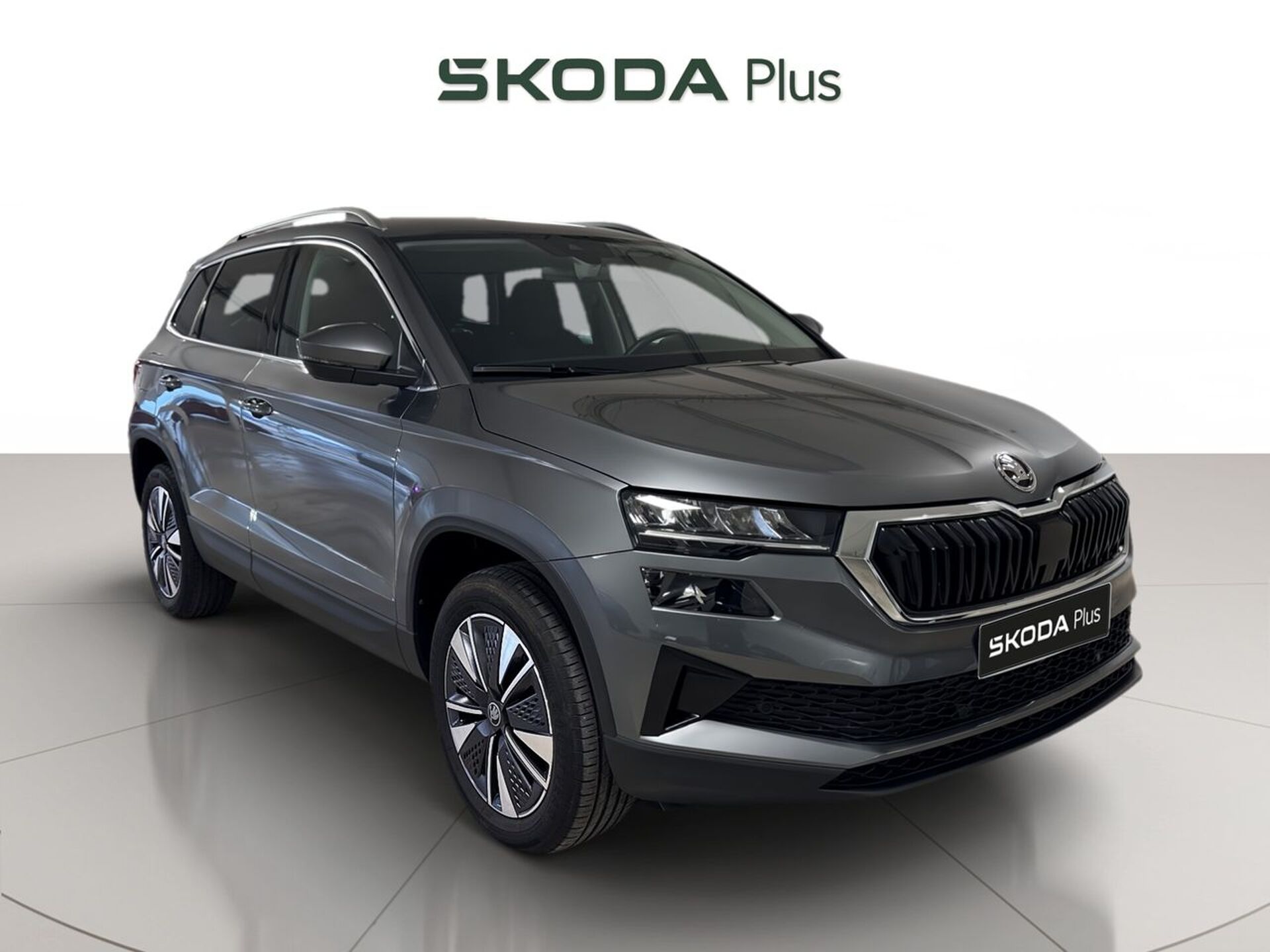 Imagen 1 de SKODA Karoq