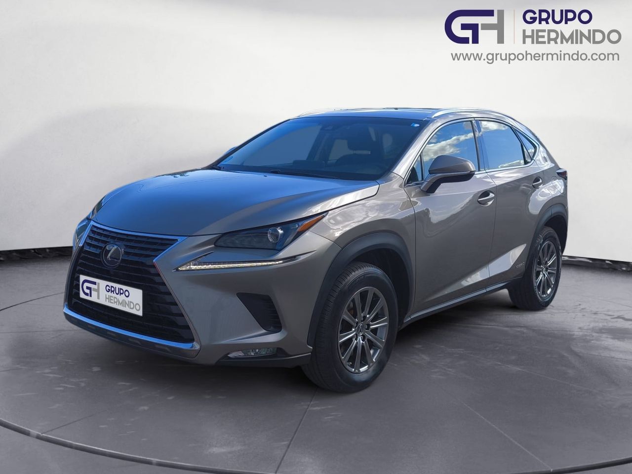 LEXUS NX (2.5 300 H BUSINESS NAVIGATION  2WD) en Pontevedra