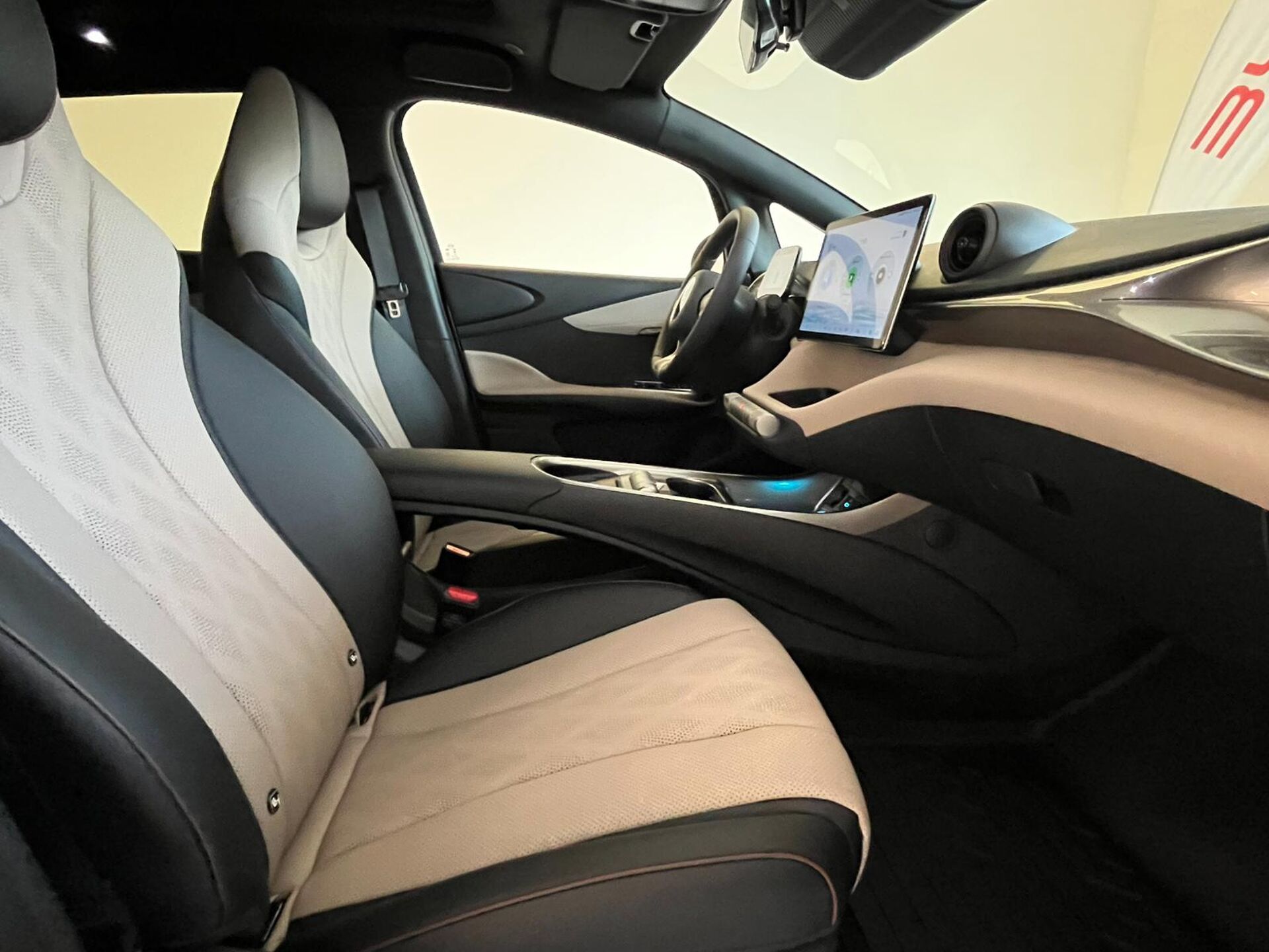 Imagen 3 de BYD Dolphin