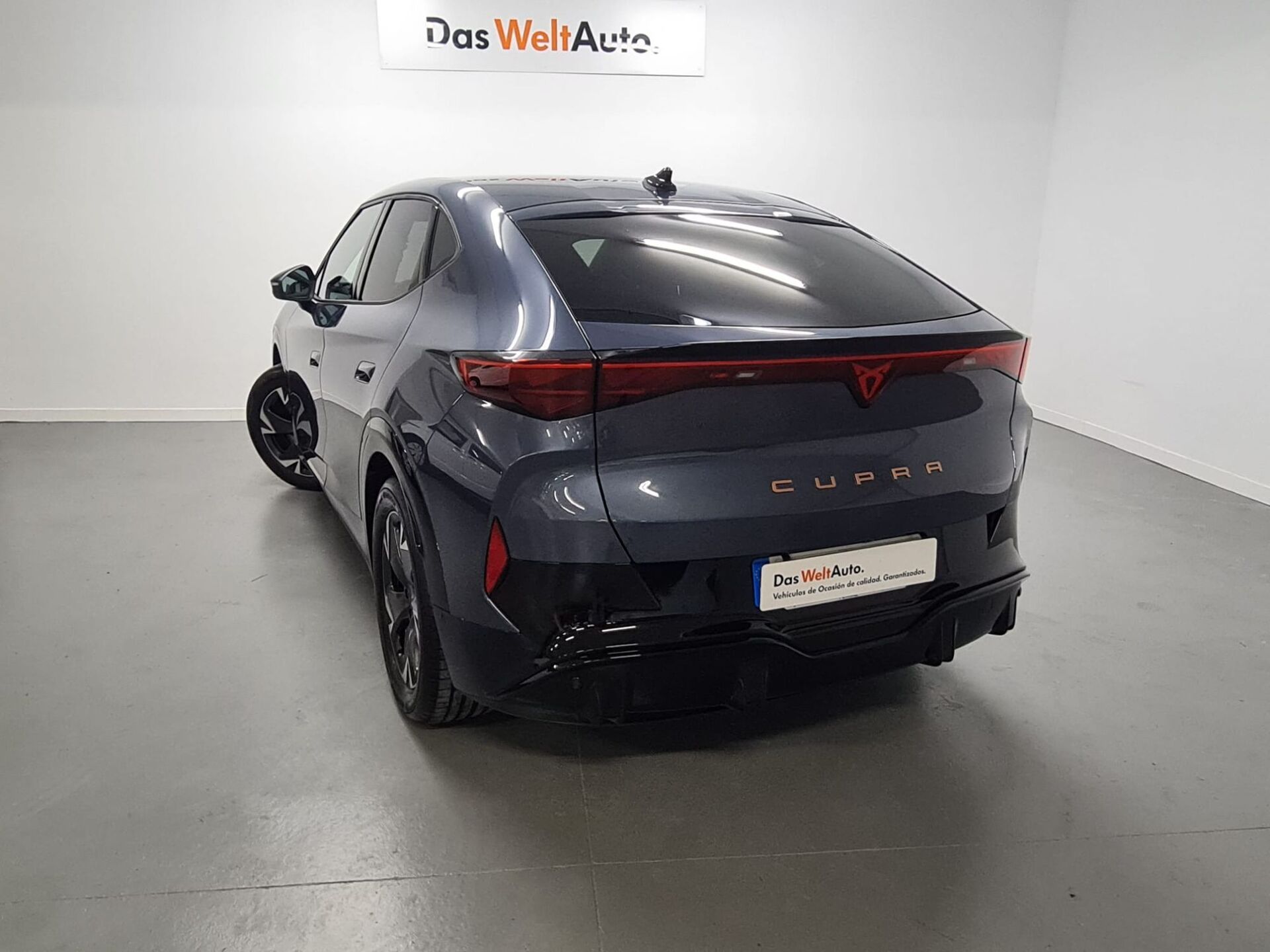 Imagen de CUPRA Tavascan