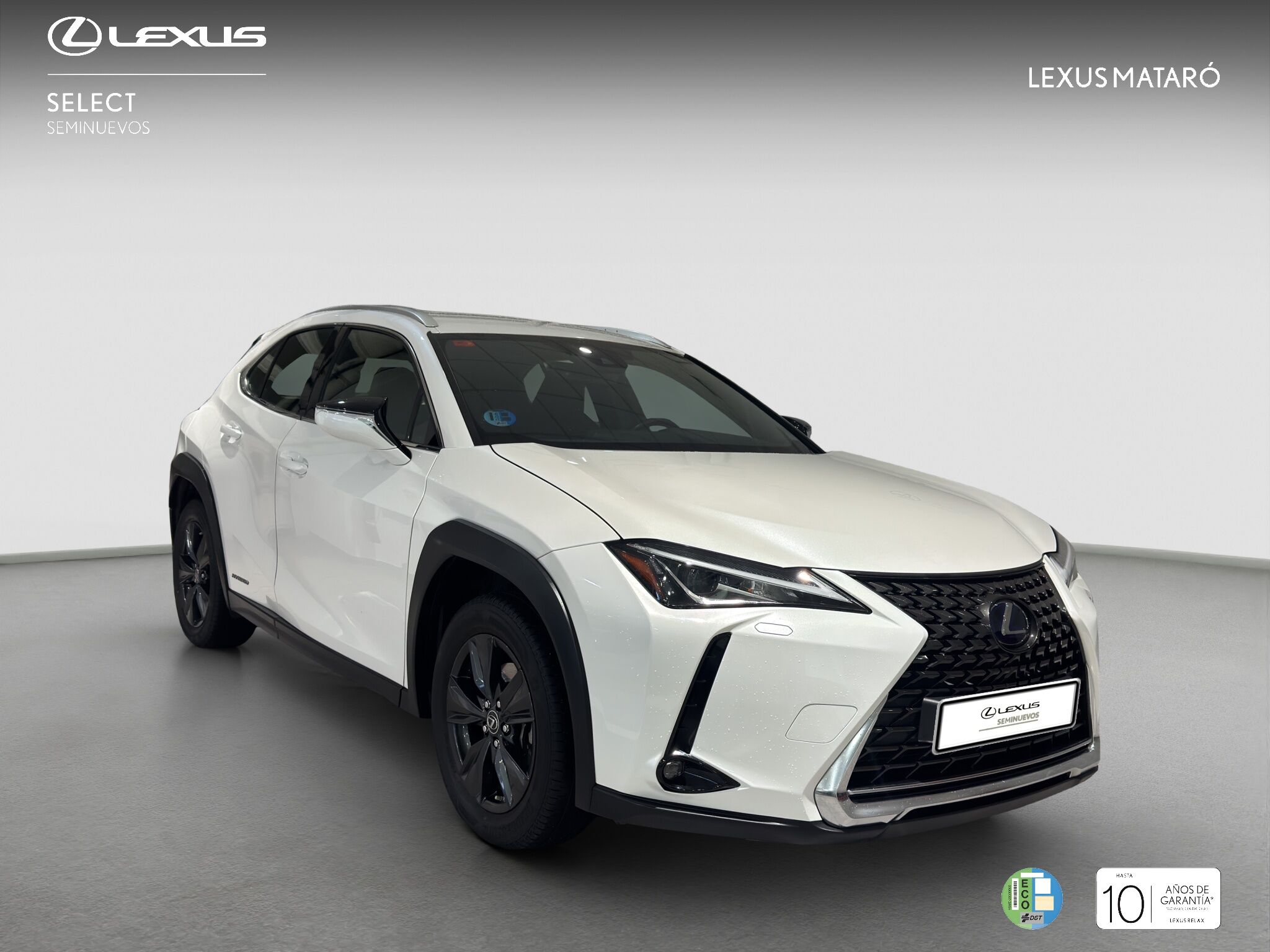 Foto del LEXUS UX 250h Business 4WD