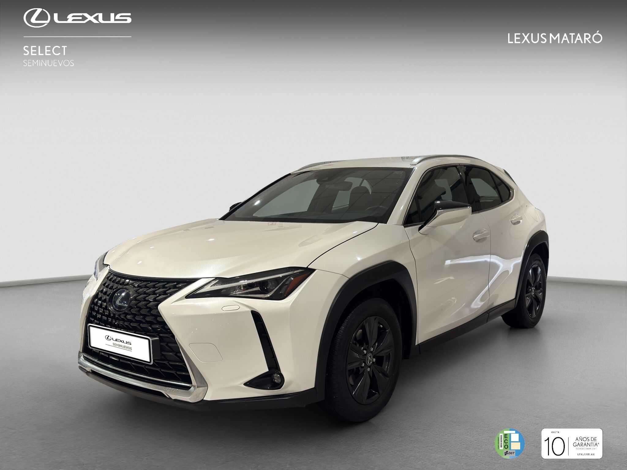 Foto del LEXUS UX 250h Business 4WD