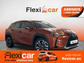 Imagen de LEXUS UX 250h Business 2WD