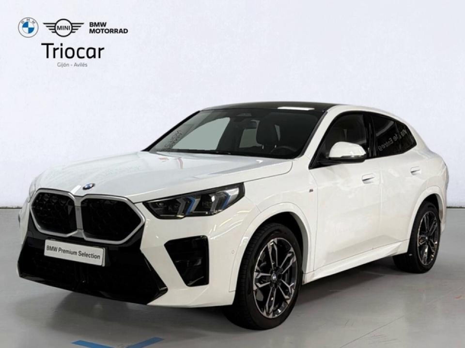 Imagen 1 de BMW X2